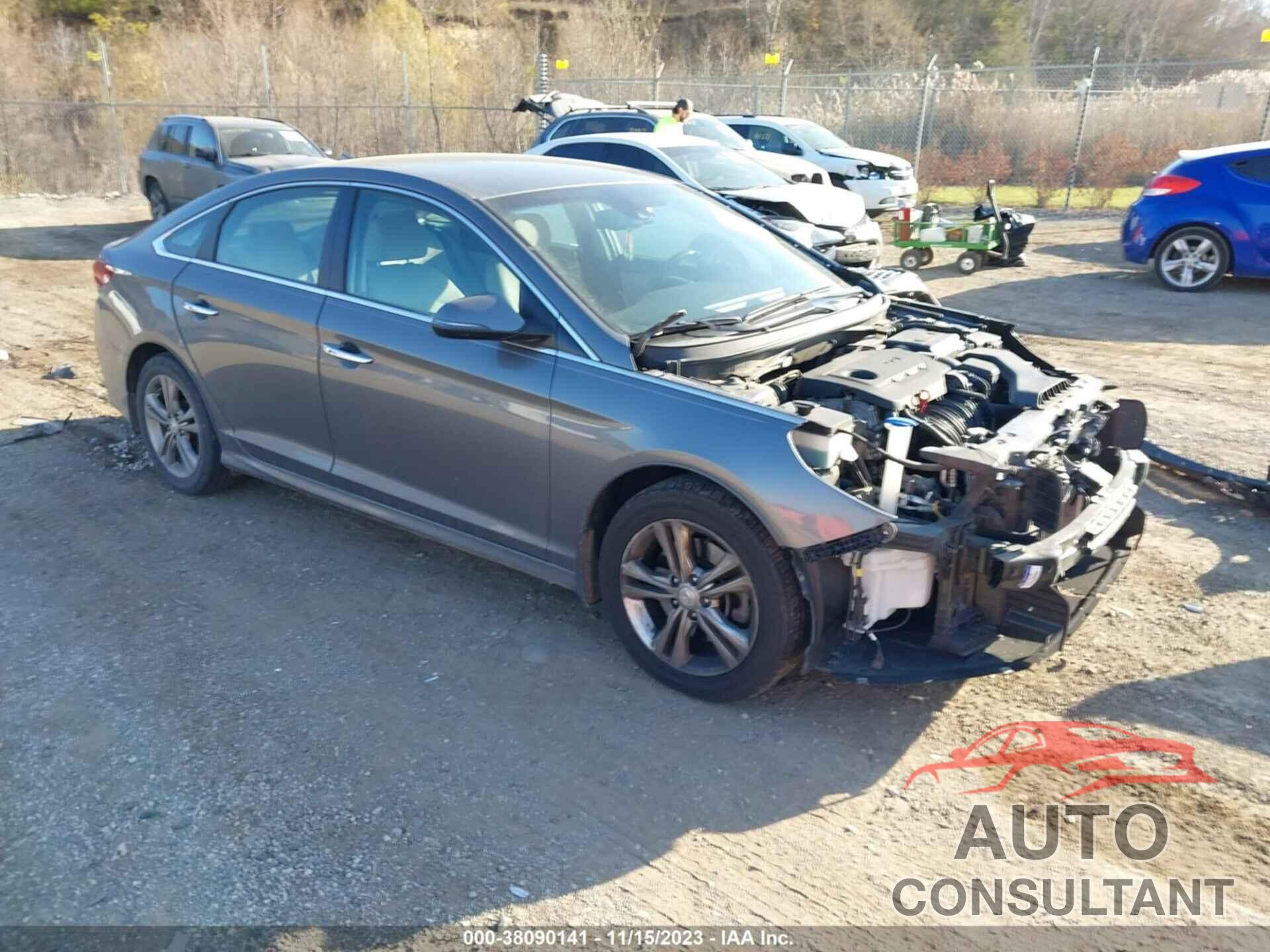 HYUNDAI SONATA 2019 - 5NPE34AF8KH797935