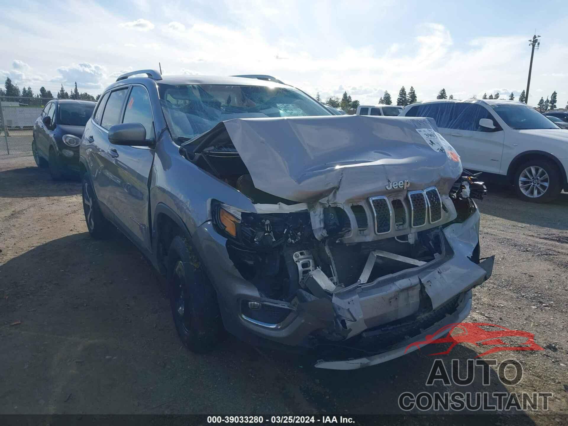 JEEP CHEROKEE 2019 - 1C4PJMDX4KD467895