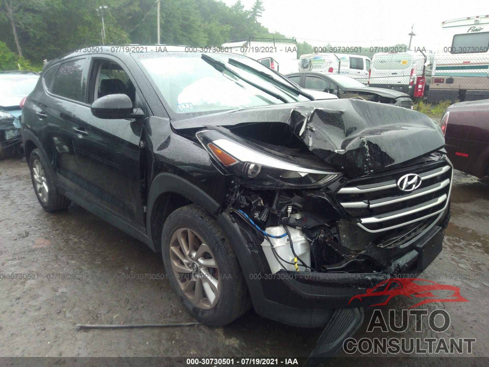 HYUNDAI TUCSON 2017 - KM8J23A49HU406568