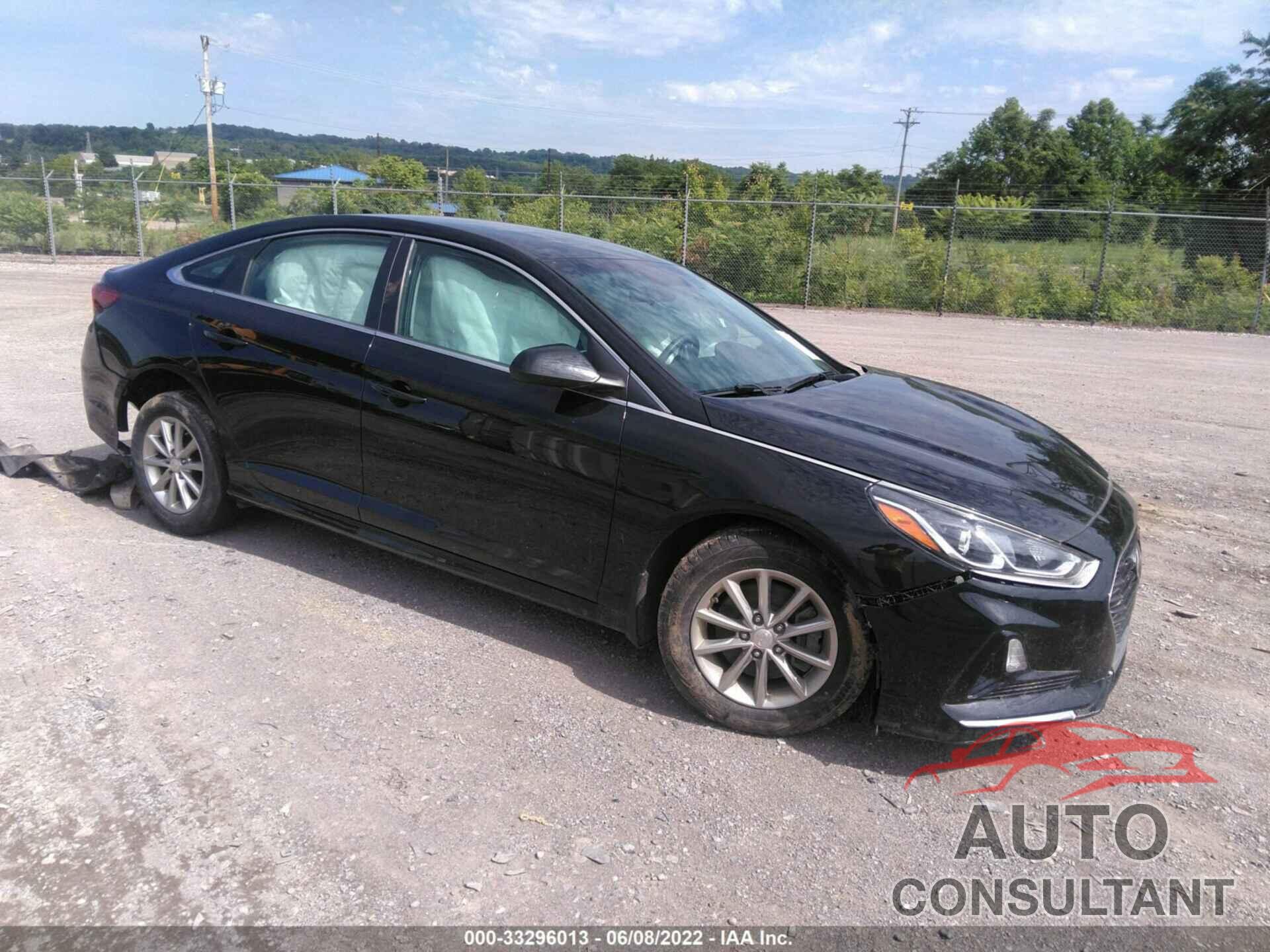 HYUNDAI SONATA 2019 - 5NPE24AF9KH797526
