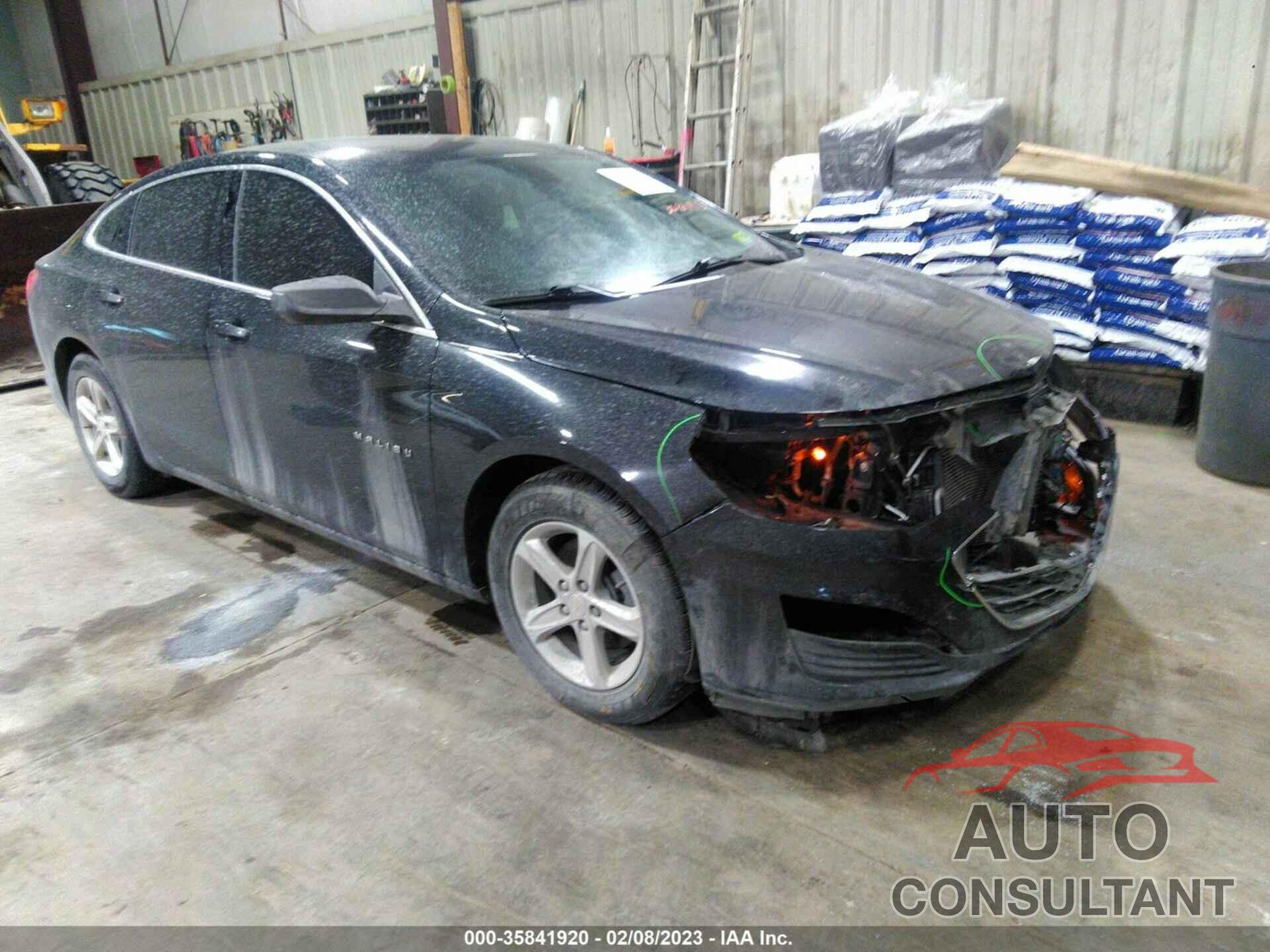 CHEVROLET MALIBU 2019 - 1G1ZB5STXKF196592