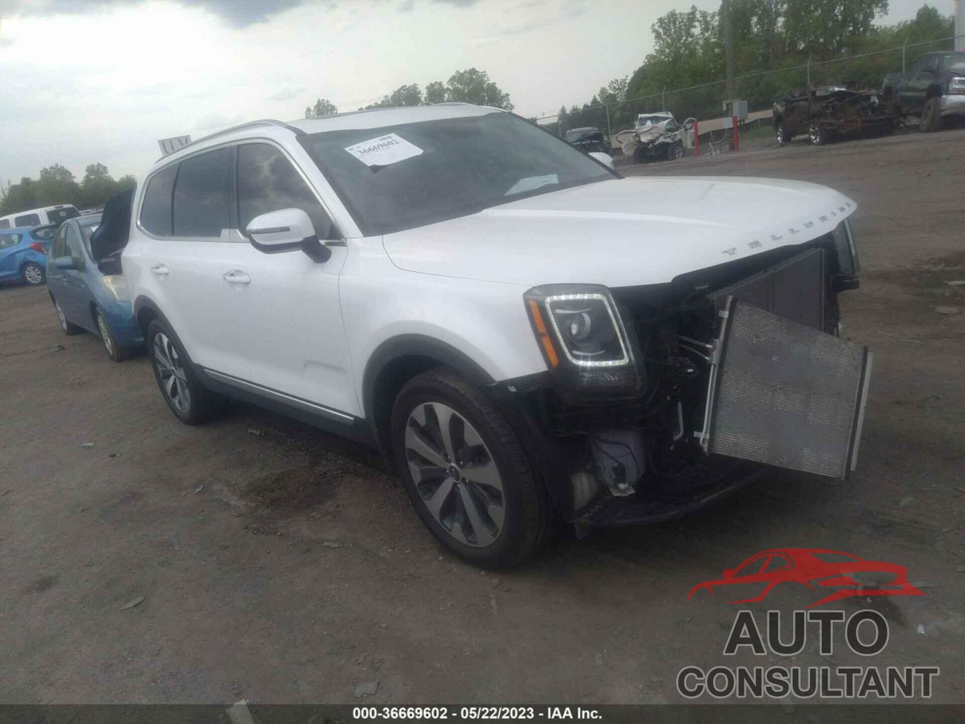 KIA TELLURIDE 2020 - 5XYP6DHC3LG020454