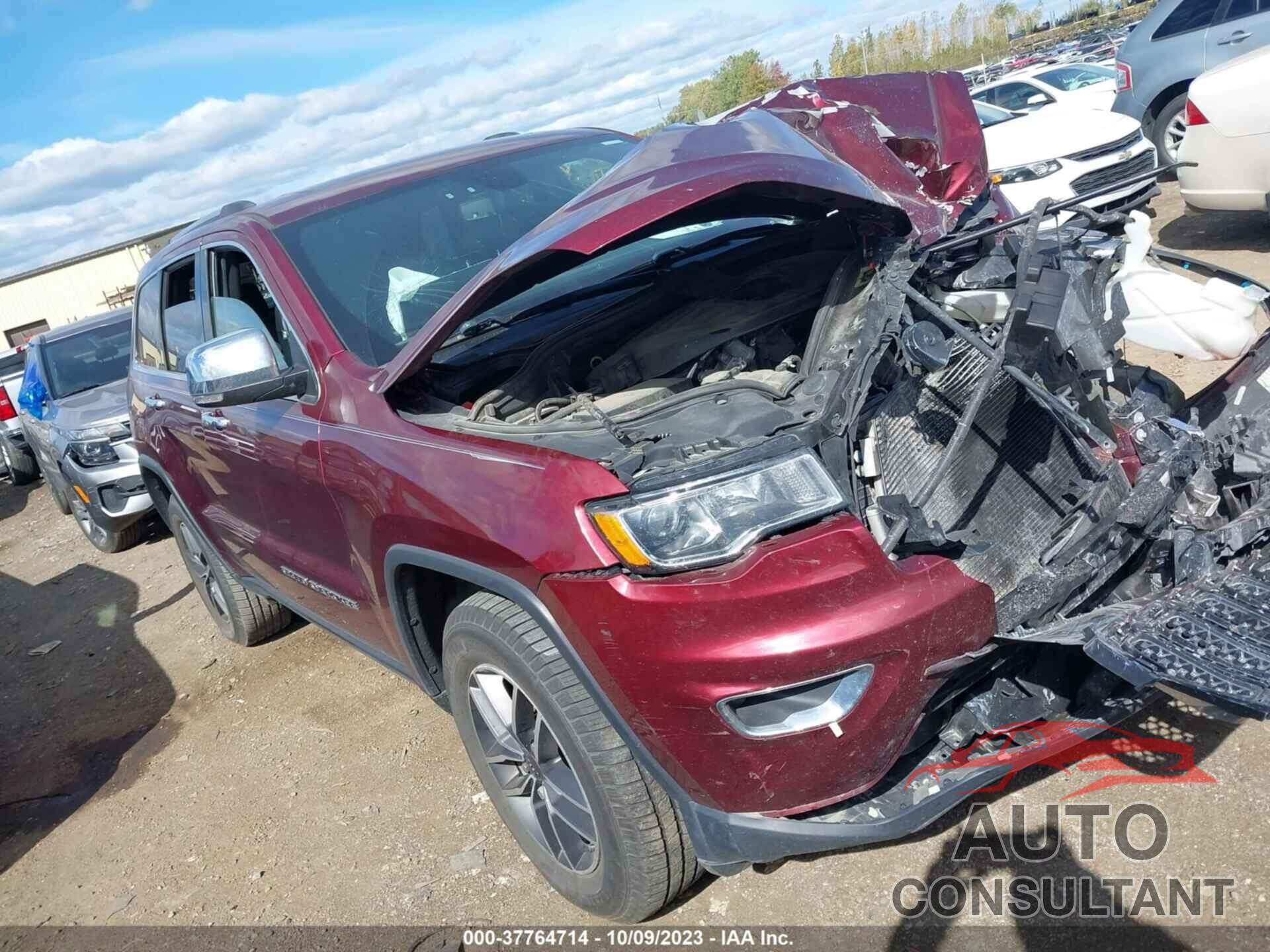 JEEP GRAND CHEROKEE 2019 - 1C4RJFBG3KC607917