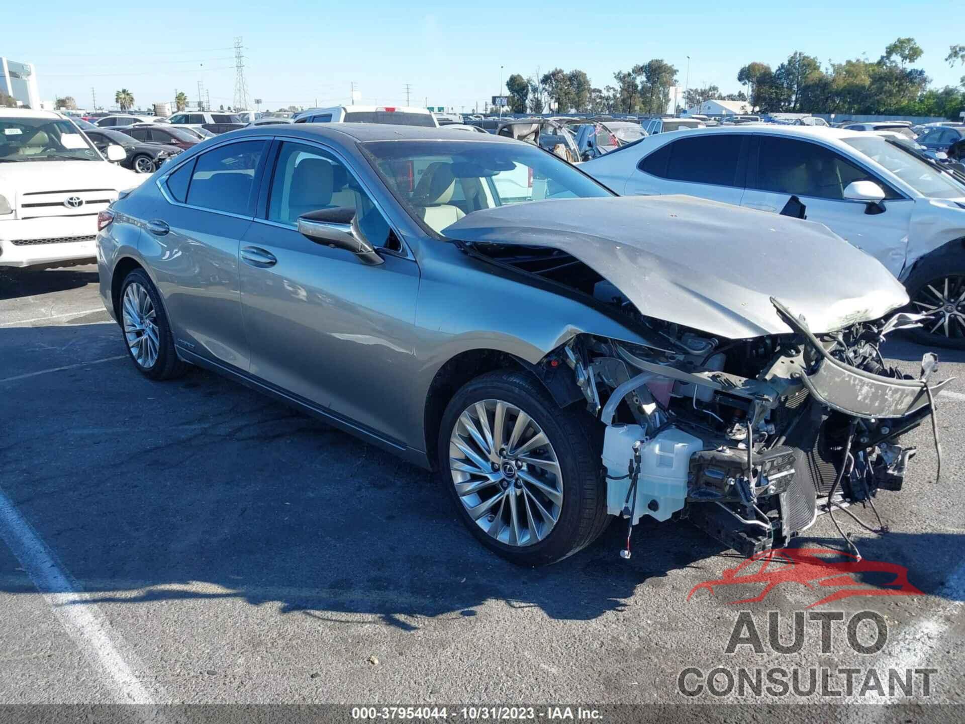 LEXUS ES 300H 2021 - 58AEA1C13MU008271