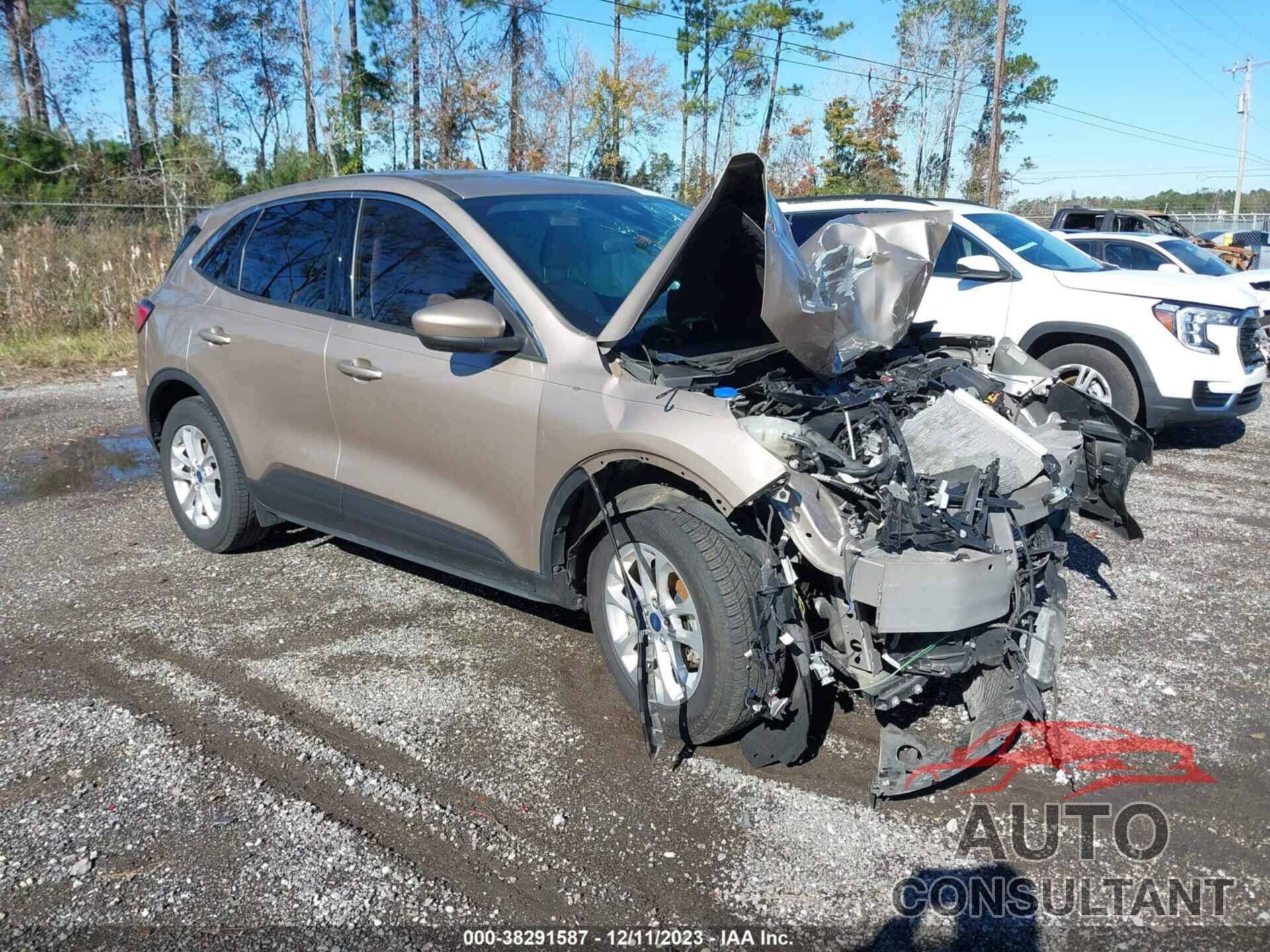 FORD ESCAPE 2020 - 1FMCU0G69LUB03213