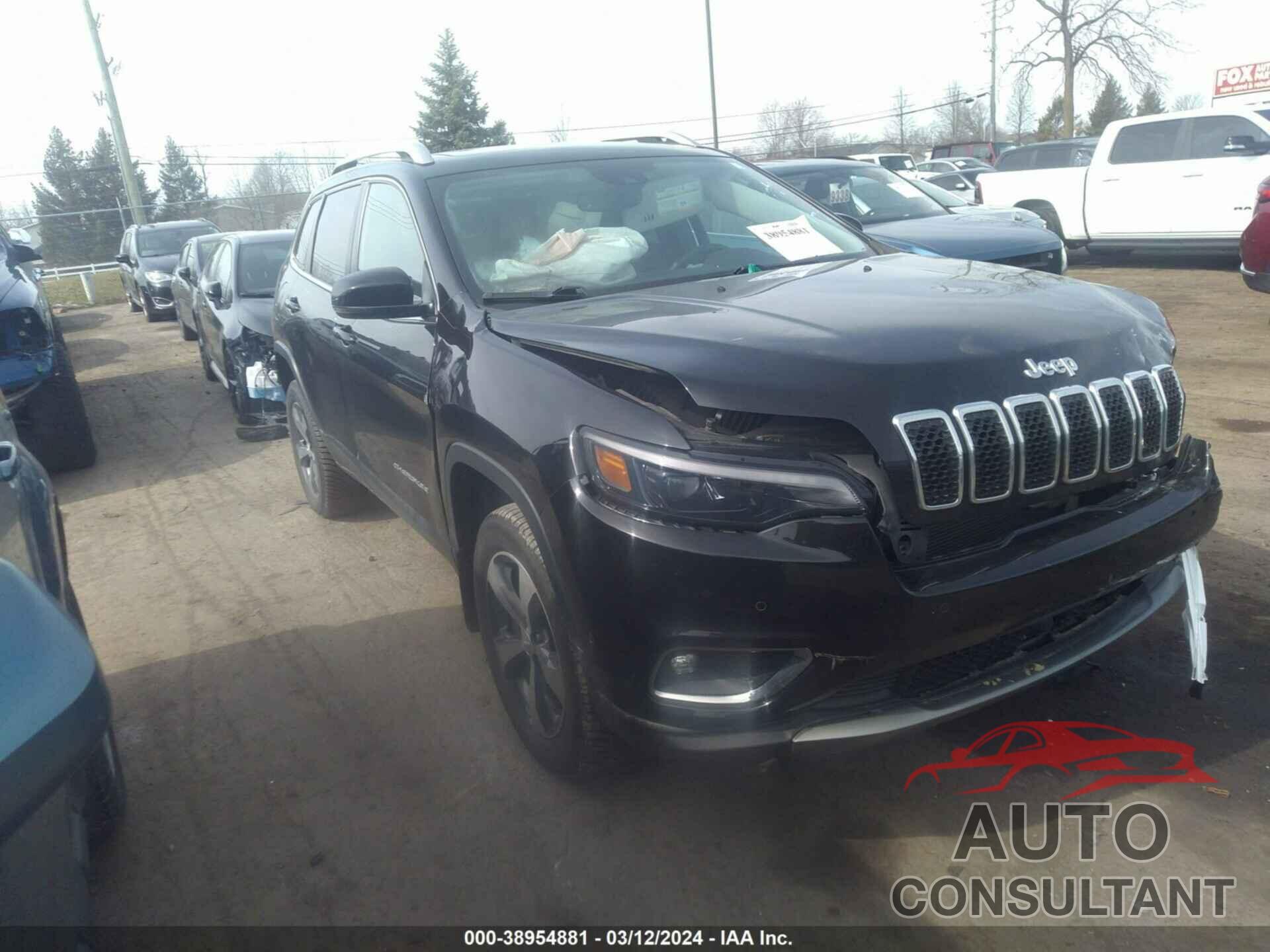 JEEP CHEROKEE 2019 - 1C4PJMDN5KD157463