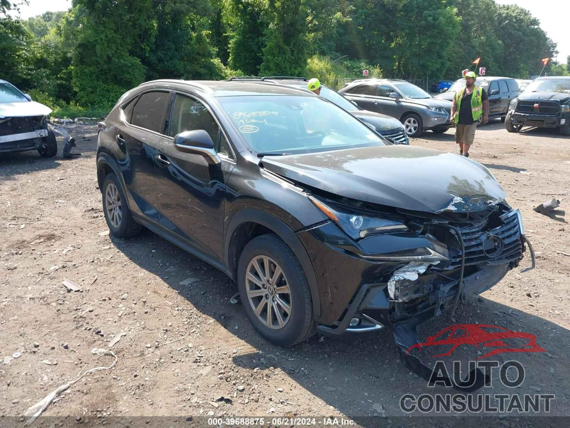 LEXUS NX 300 2019 - JTJBARBZ1K2217146