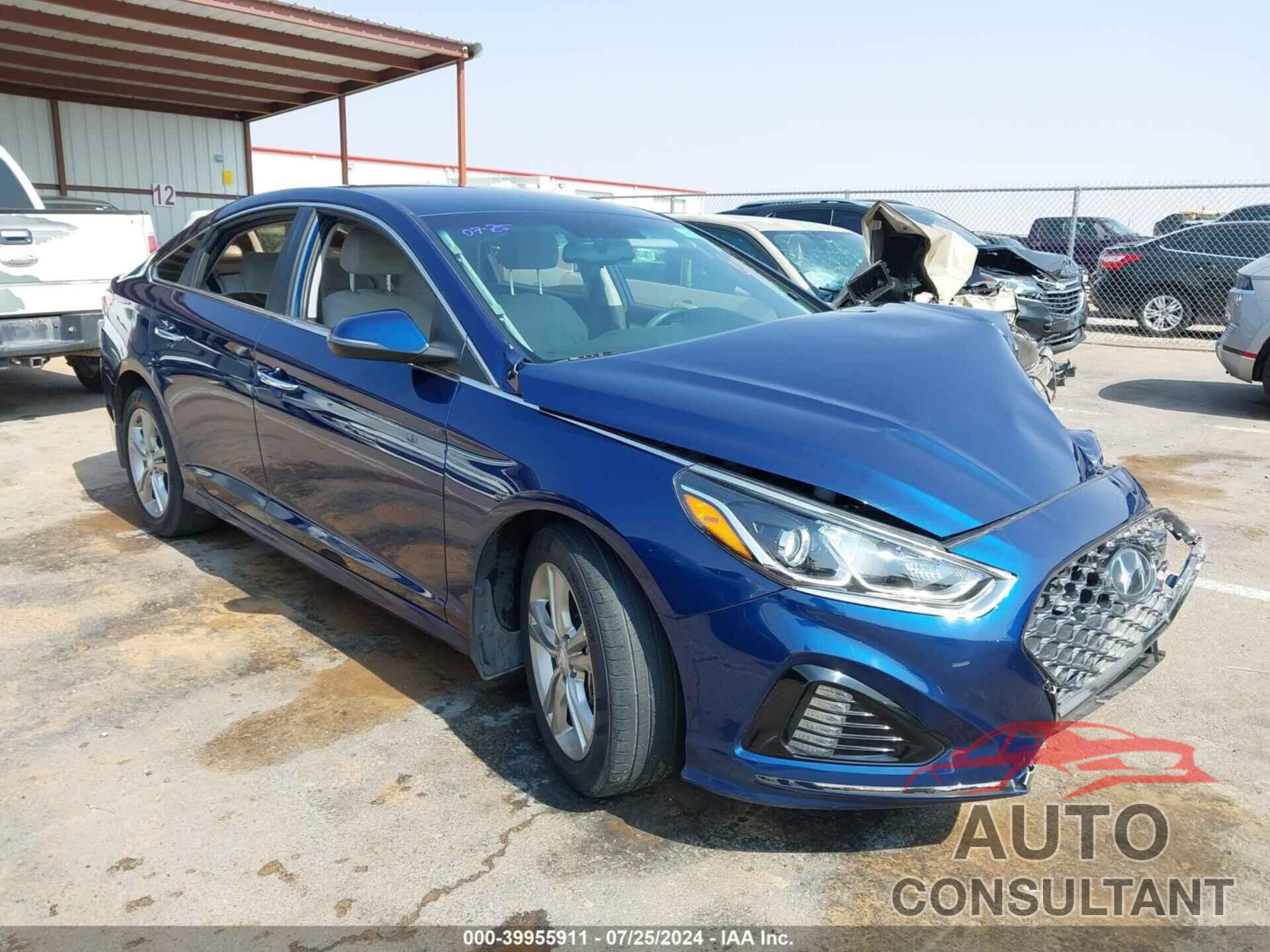 HYUNDAI SONATA 2019 - 5NPE34AF1KH809584