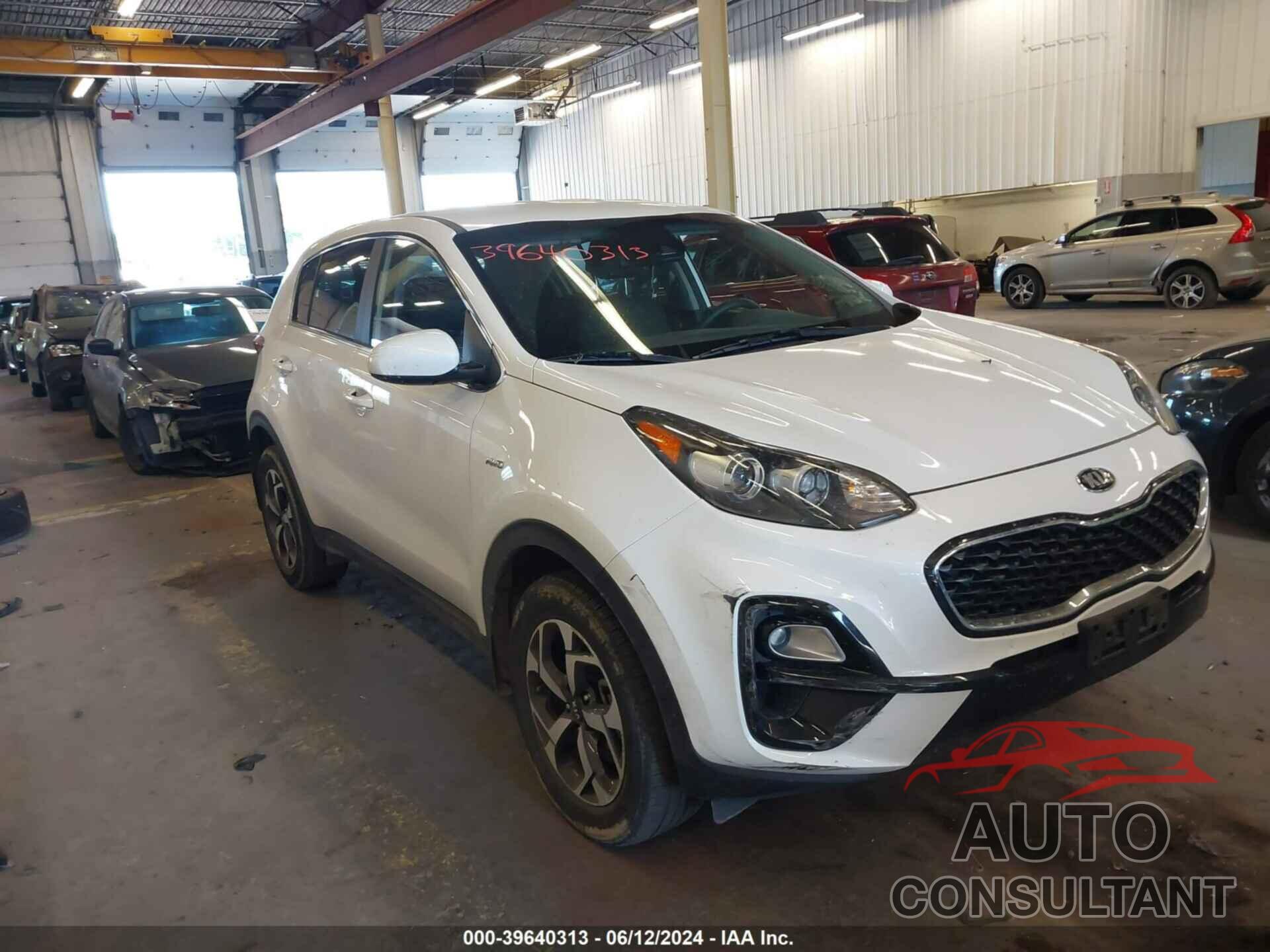 KIA SPORTAGE 2022 - KNDPMCAC4N7965990