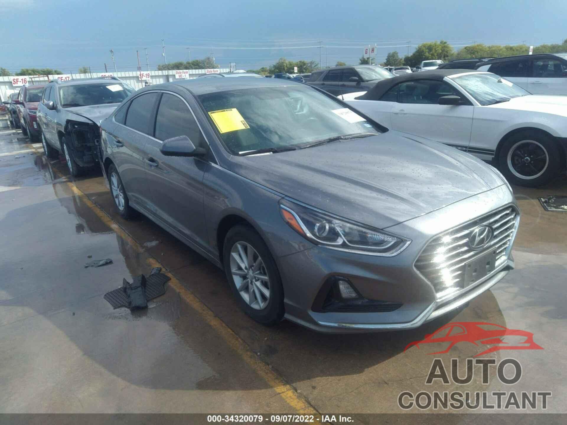 HYUNDAI SONATA 2019 - 5NPE24AF0KH760137