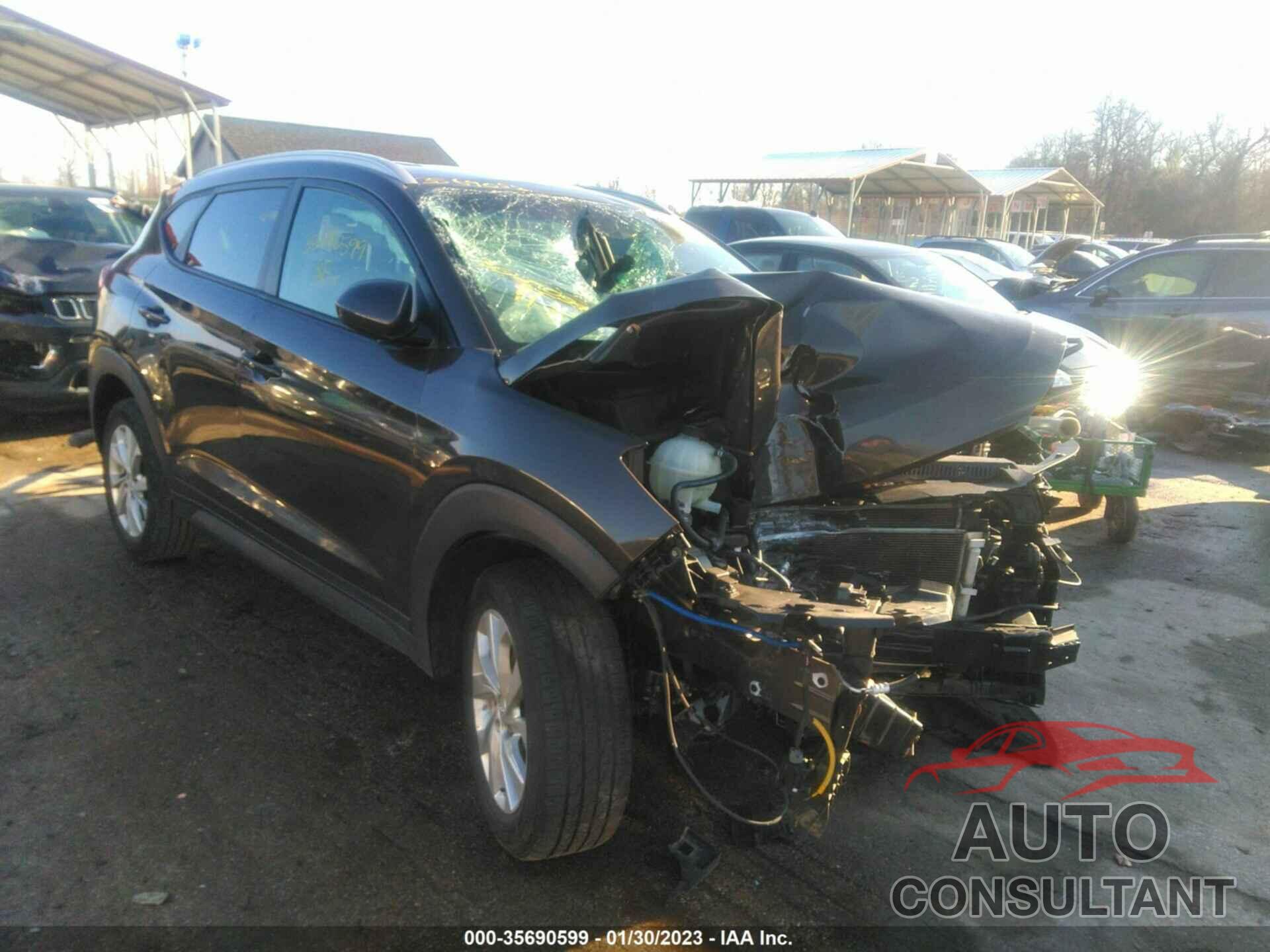 HYUNDAI TUCSON 2019 - KM8J33A47KU025614