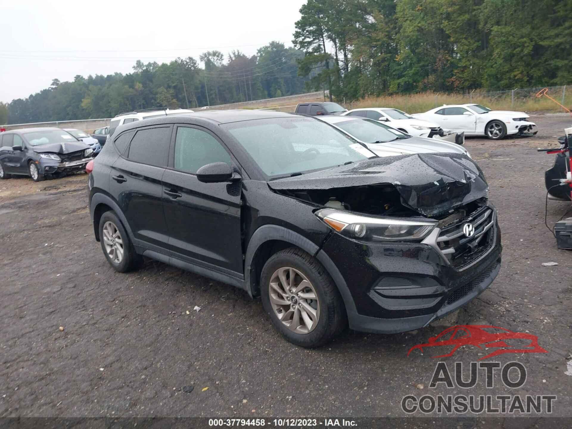 HYUNDAI TUCSON 2016 - KM8J23A40GU024511