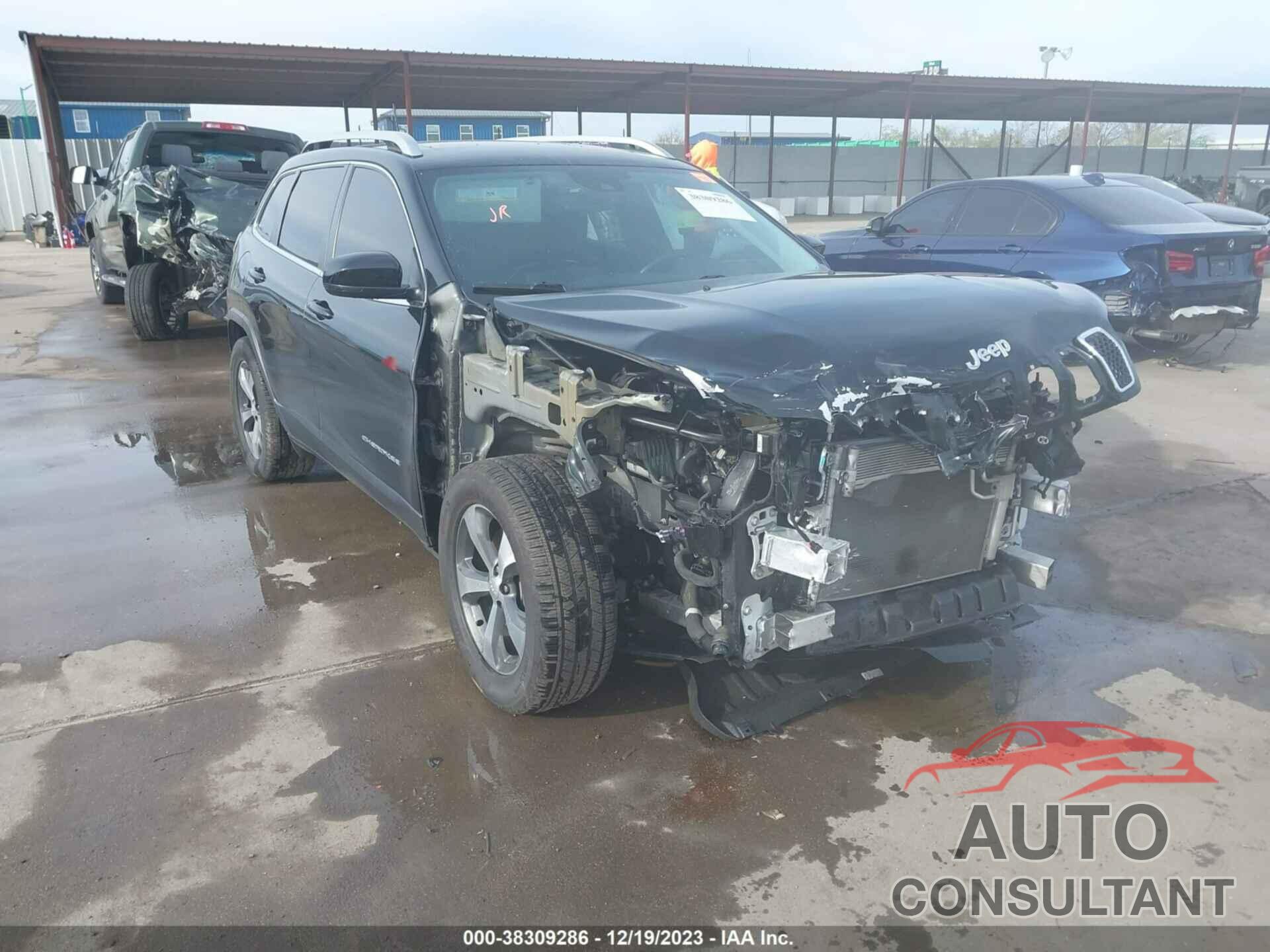 JEEP CHEROKEE 2019 - 1C4PJLDX4KD296947