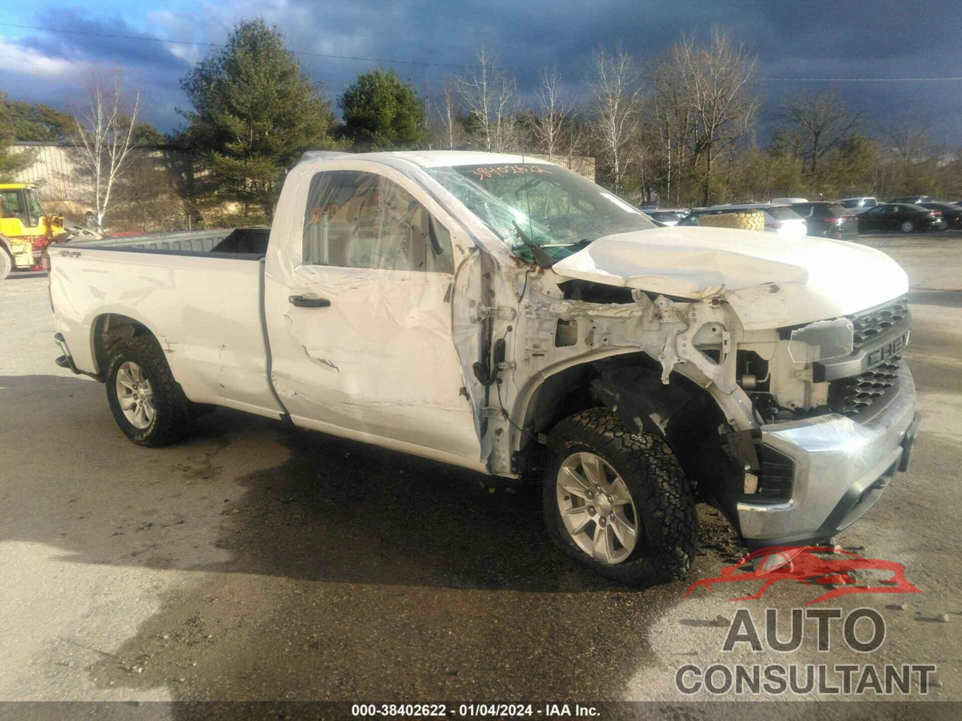 CHEVROLET SILVERADO 1500 2020 - 3GCNYAEF9LG248362