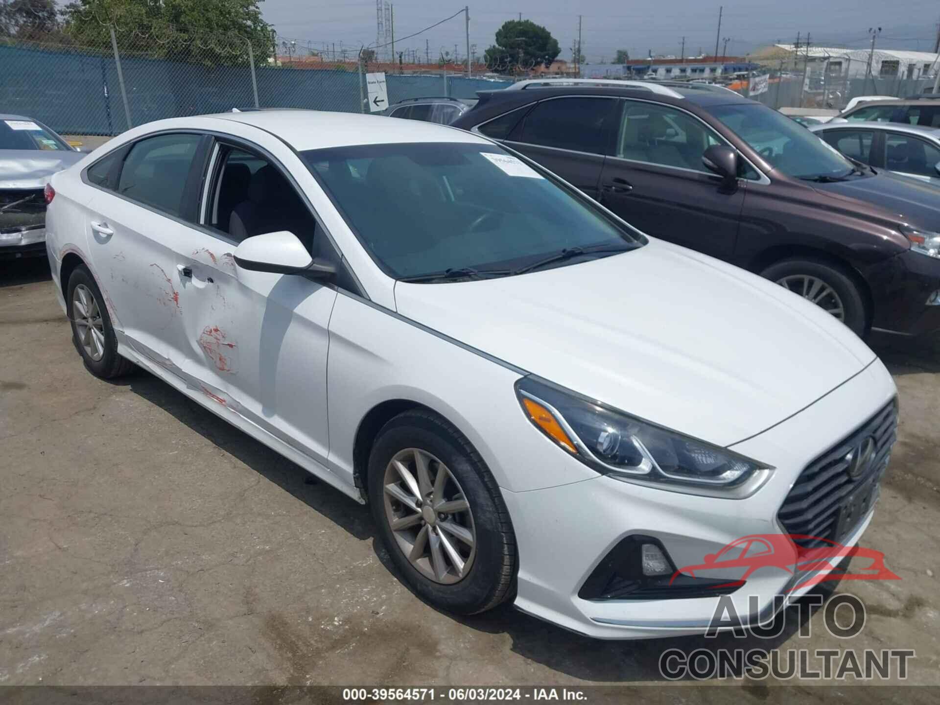 HYUNDAI SONATA 2019 - 5NPE24AF3KH760021