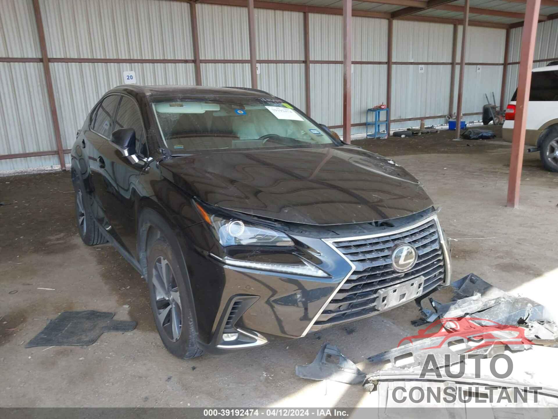 LEXUS NX 300 2019 - JTJYARBZ5K2124267