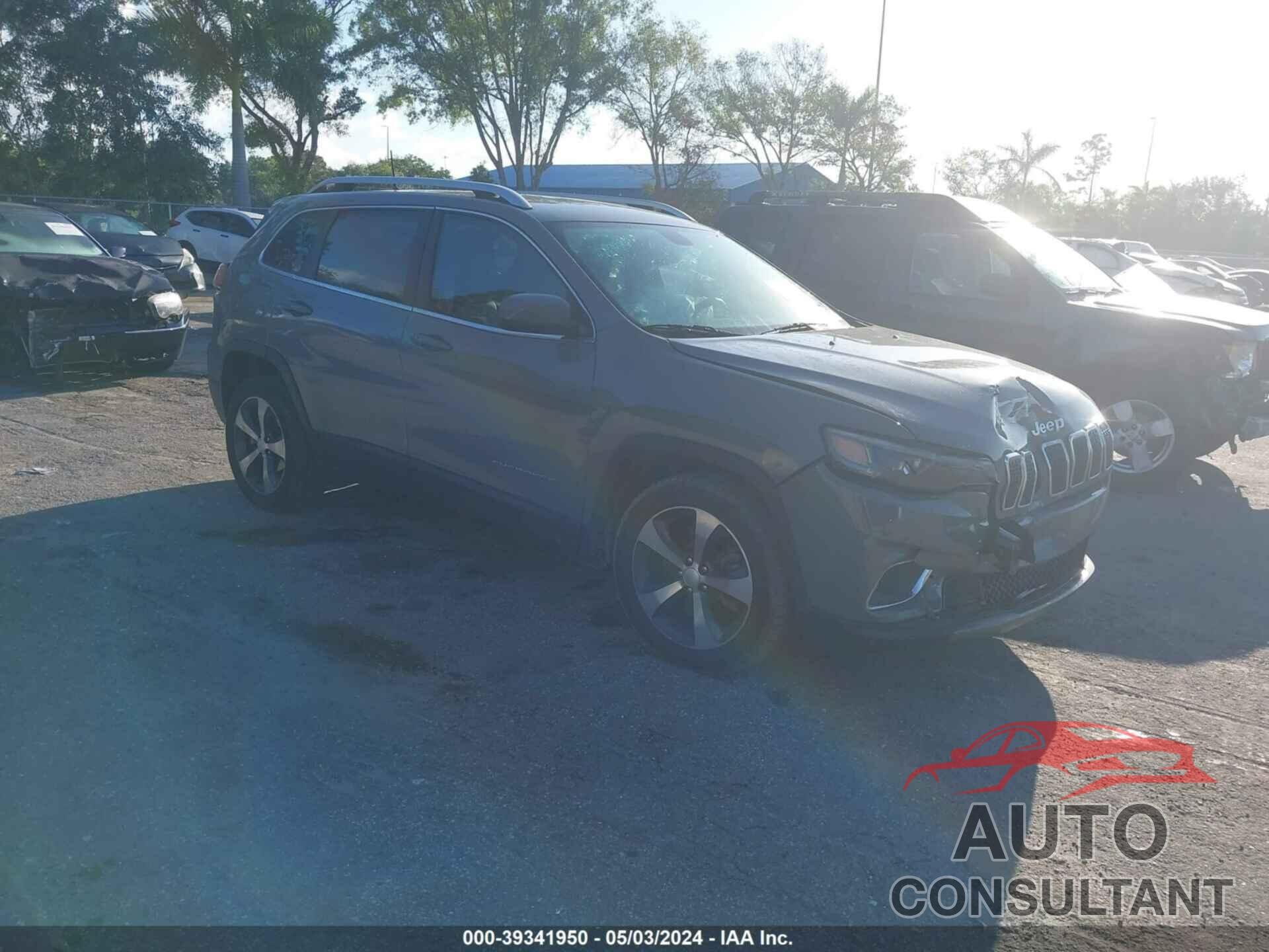 JEEP CHEROKEE 2019 - 1C4PJLDB8KD366194