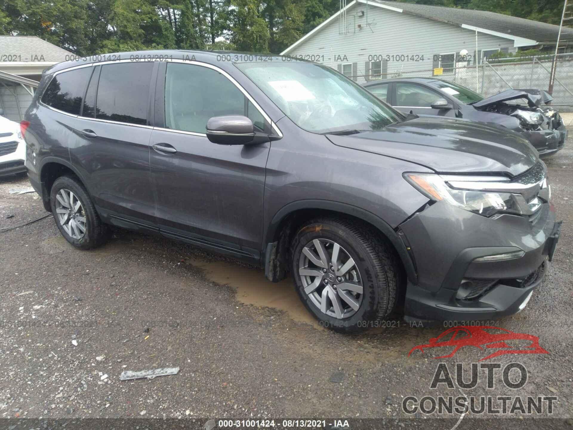 HONDA PILOT 2019 - 5FNYF6H31KB045293