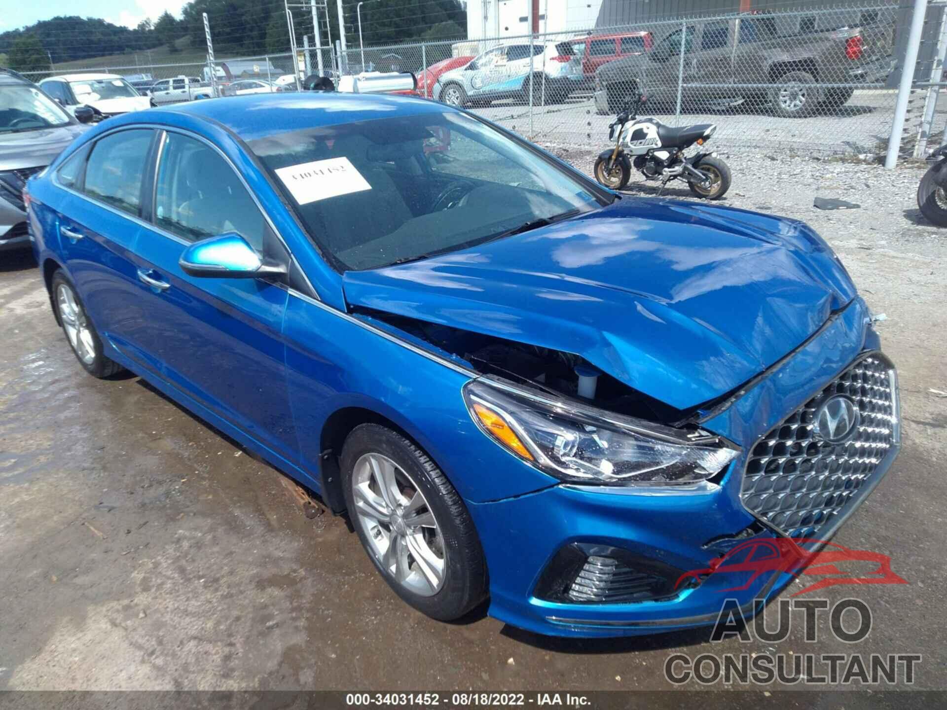 HYUNDAI SONATA 2019 - 5NPE34AF6KH781829