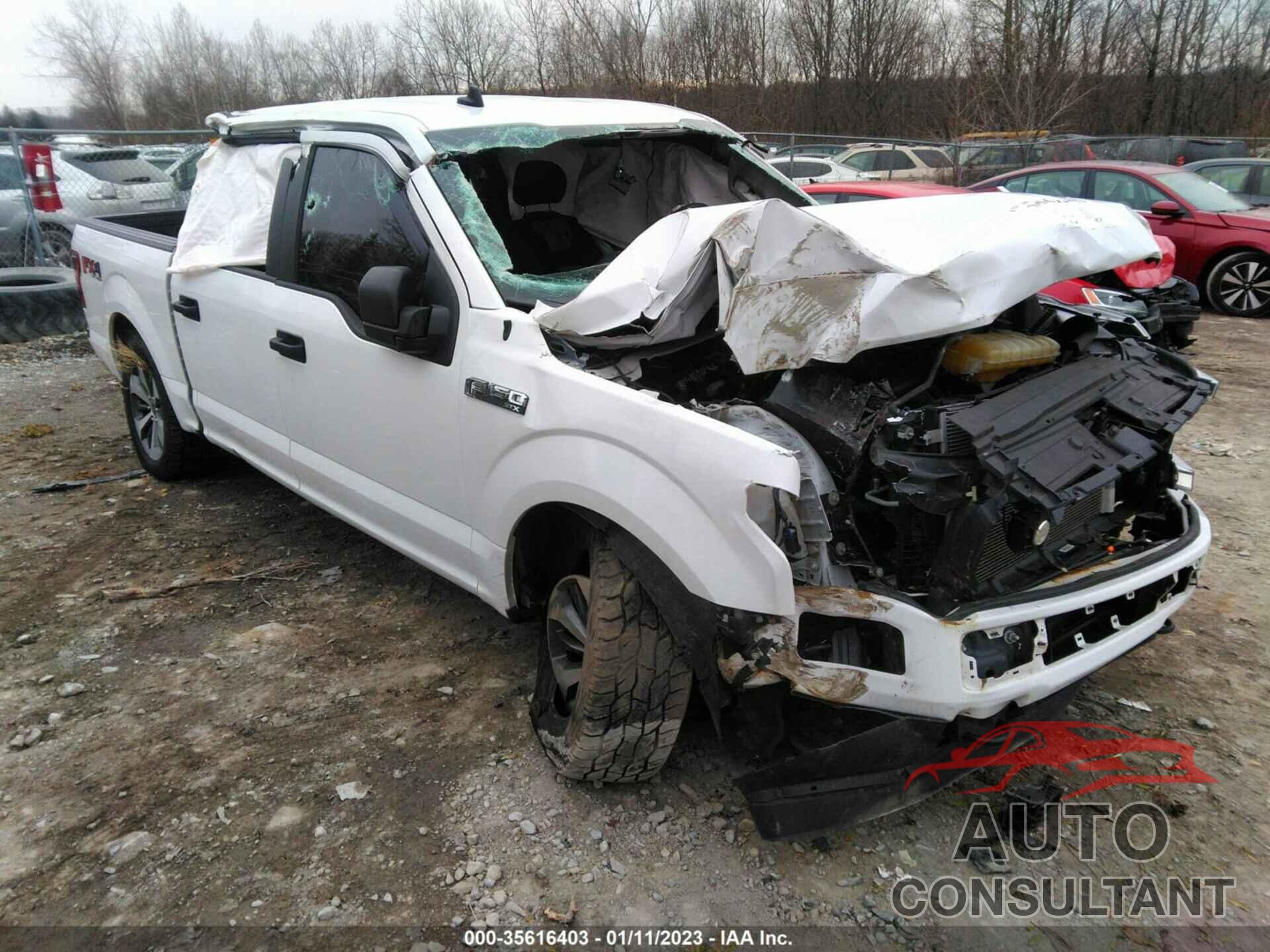 FORD F-150 2020 - 1FTEW1EP7LFA67065