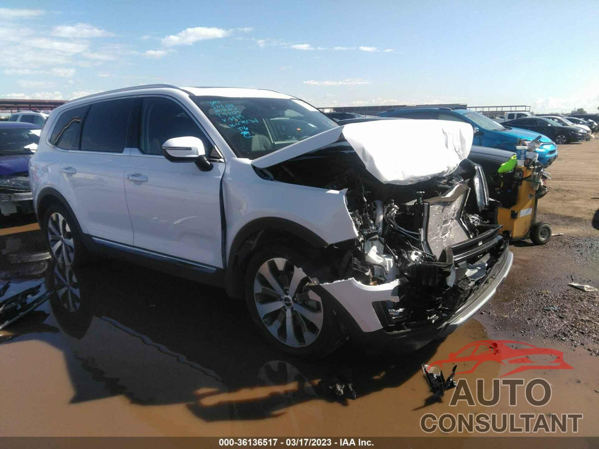 KIA TELLURIDE 2022 - 5XYP34HC3NG318479