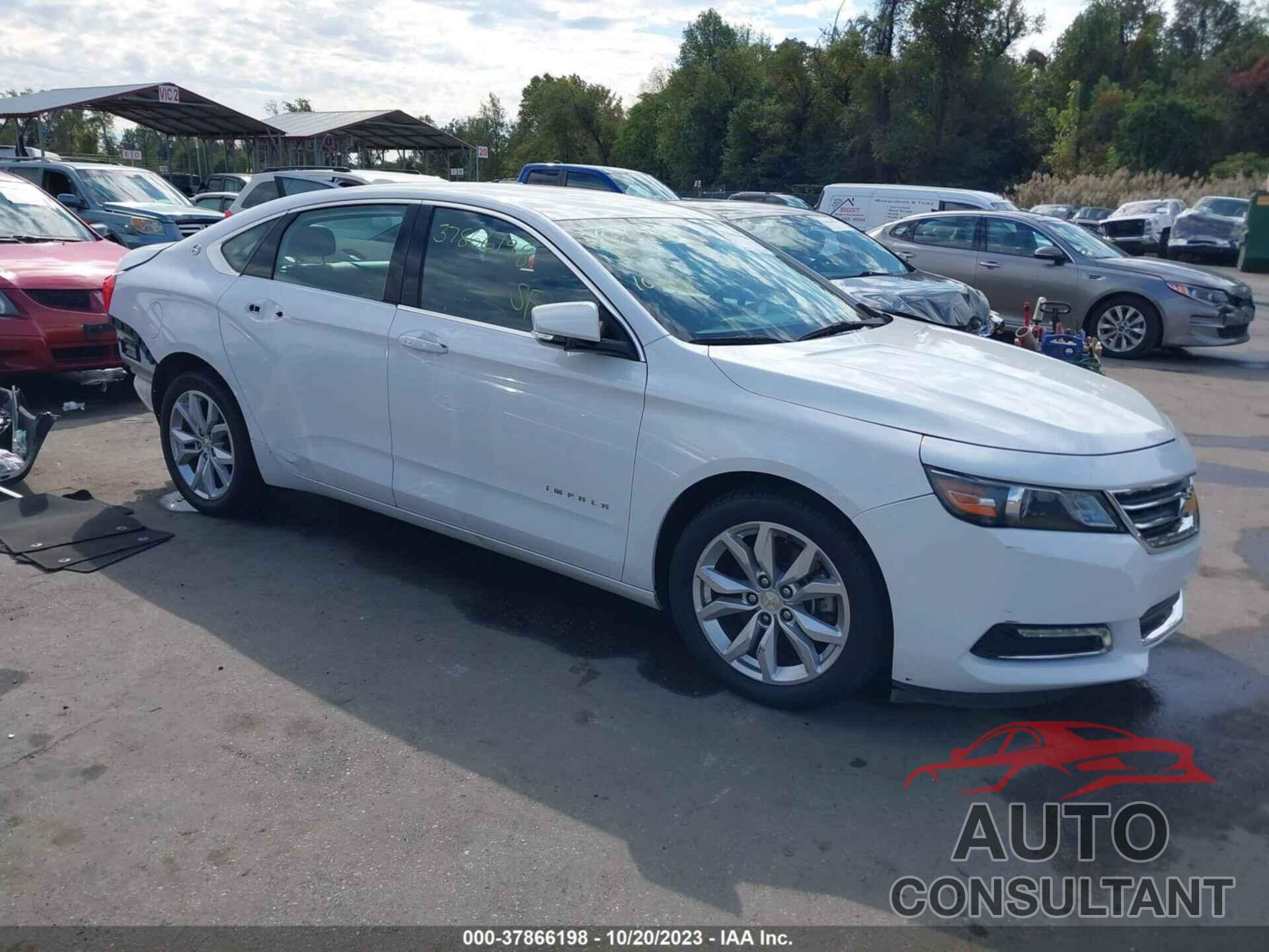 CHEVROLET IMPALA 2019 - 1G11Z5S31KU119596