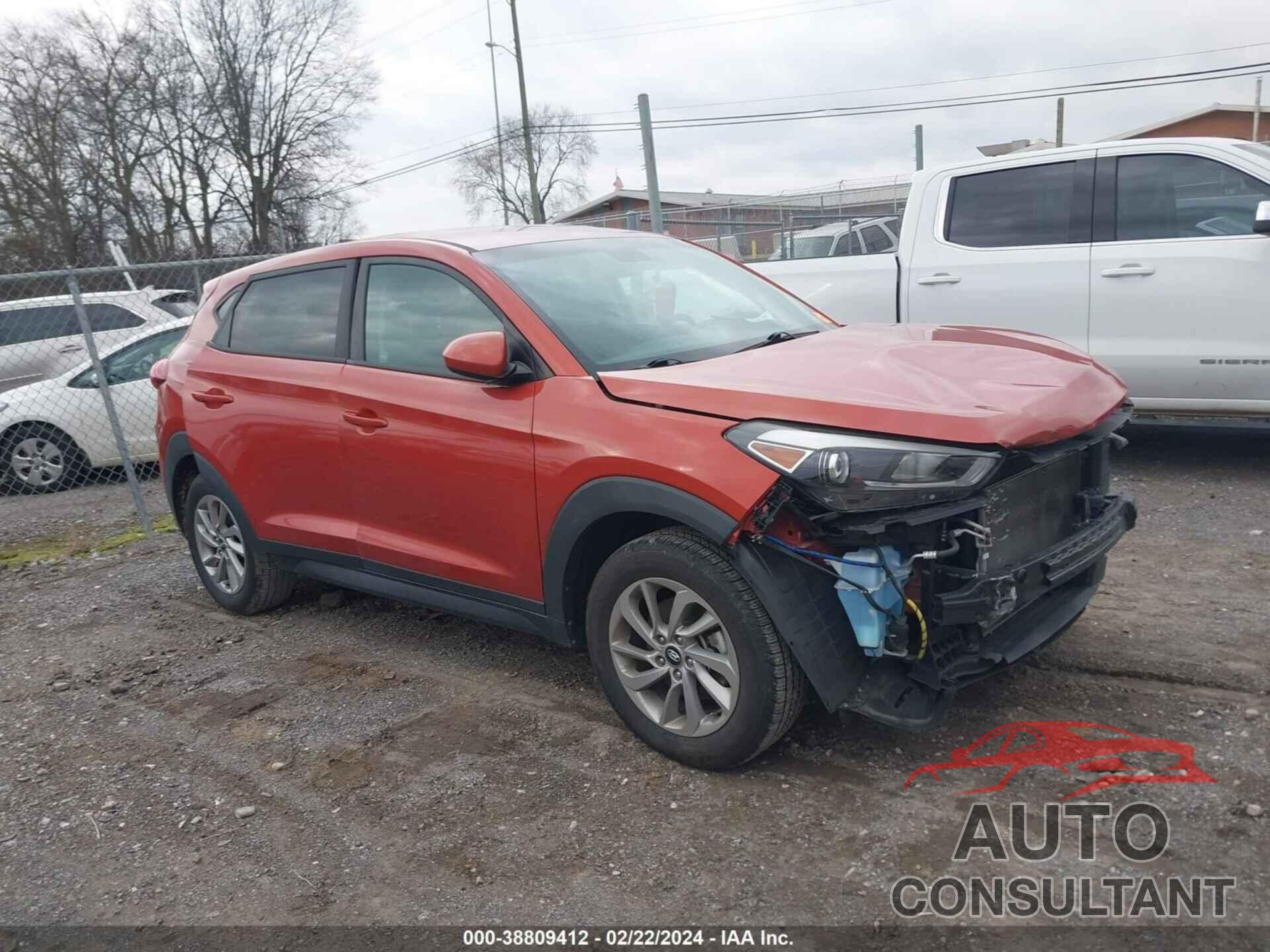 HYUNDAI TUCSON 2017 - KM8J23A47HU528409