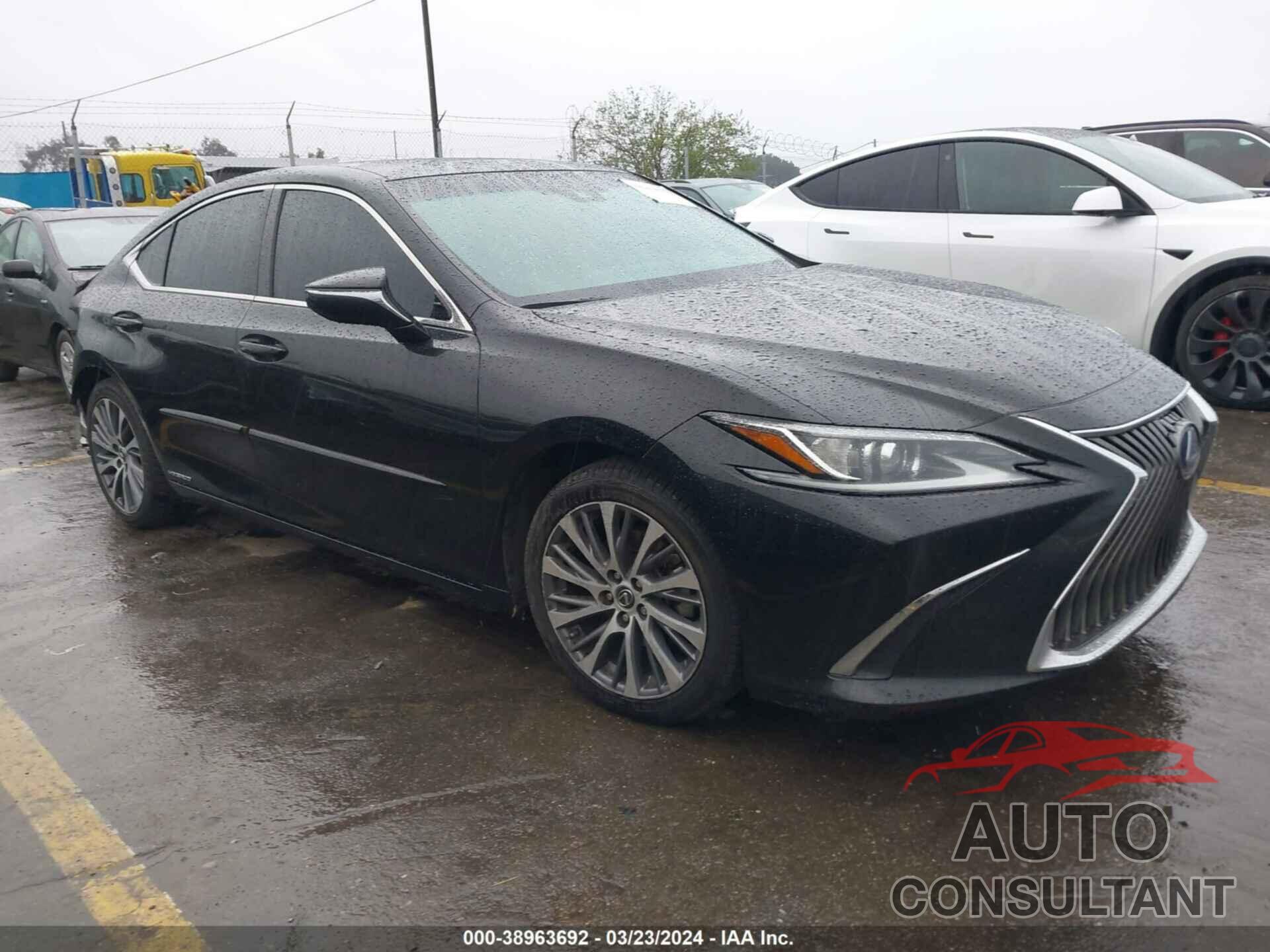 LEXUS ES 300H 2020 - 58AD21B1XLU006669