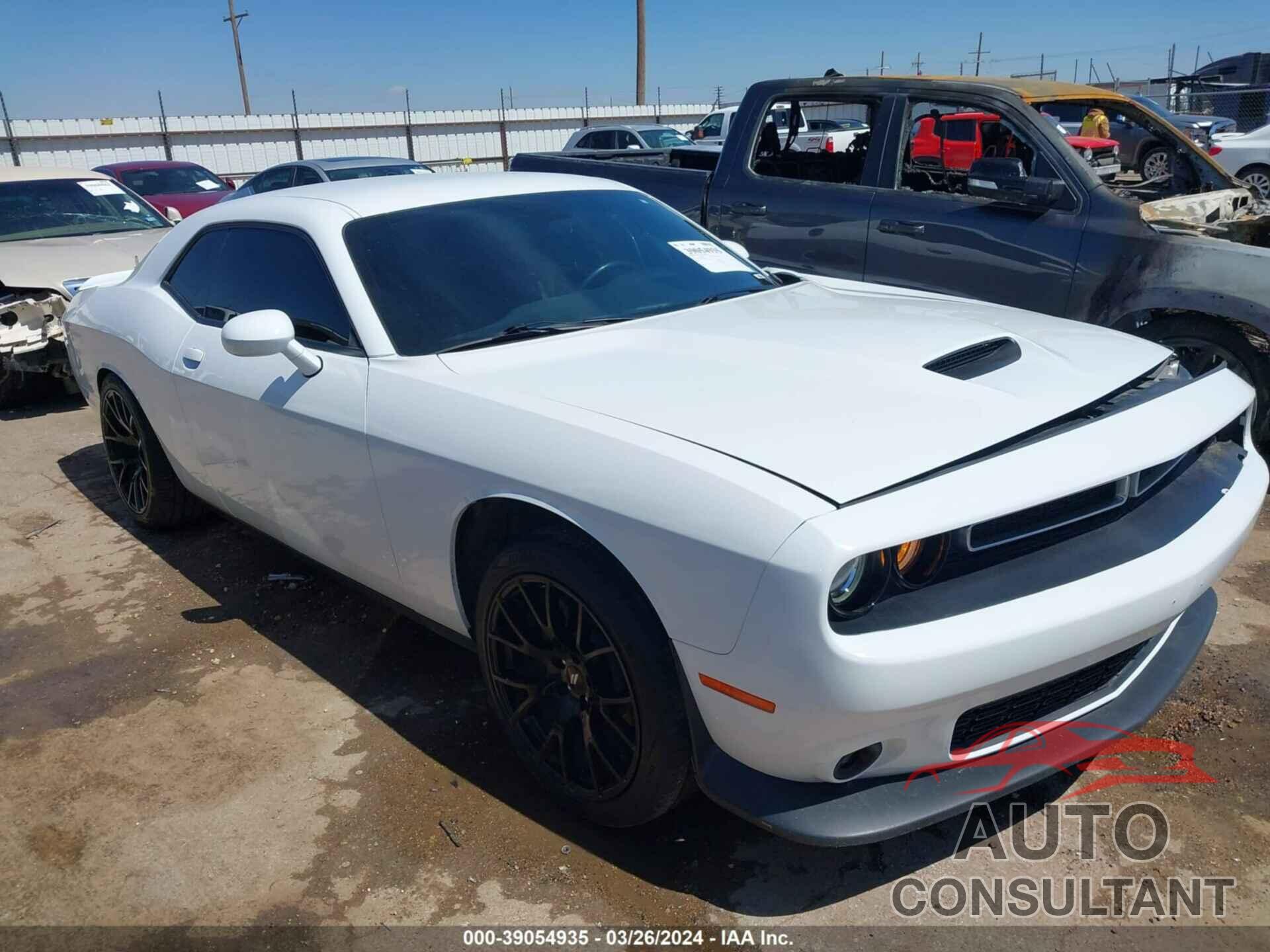 DODGE CHALLENGER 2019 - 2C3CDZBT9K8660540