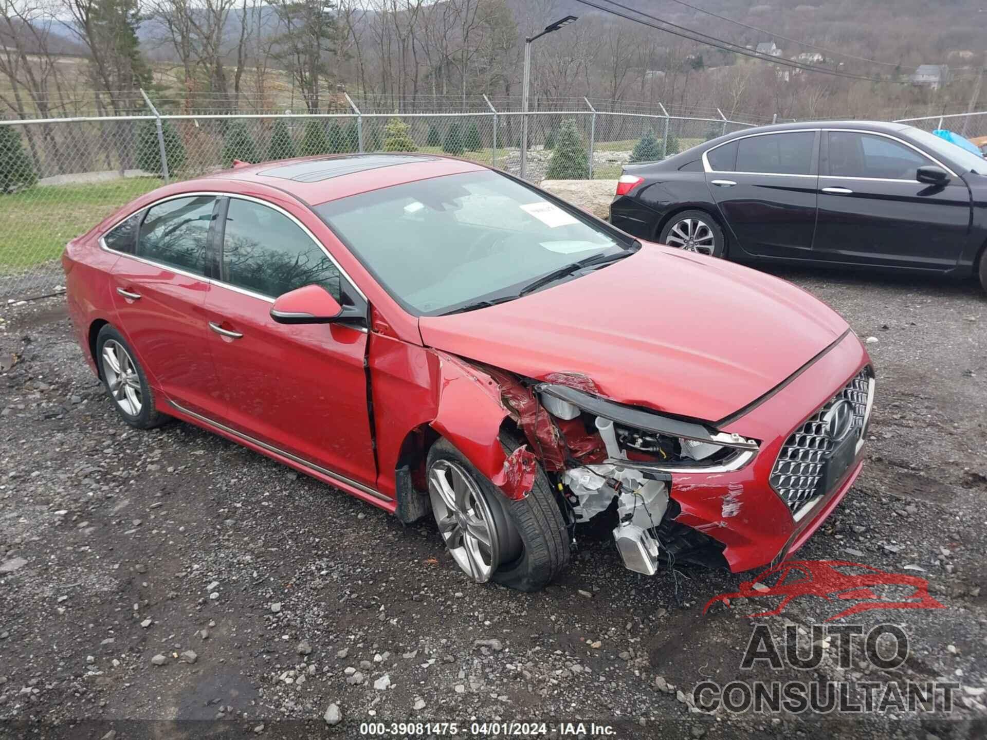 HYUNDAI SONATA 2019 - 5NPE34AF1KH748799
