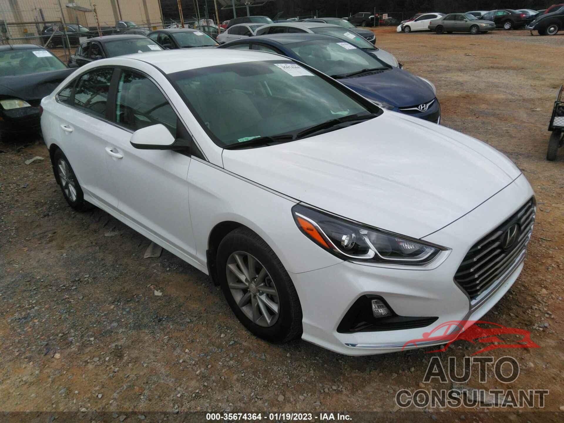 HYUNDAI SONATA 2019 - 5NPE24AF1KH810365