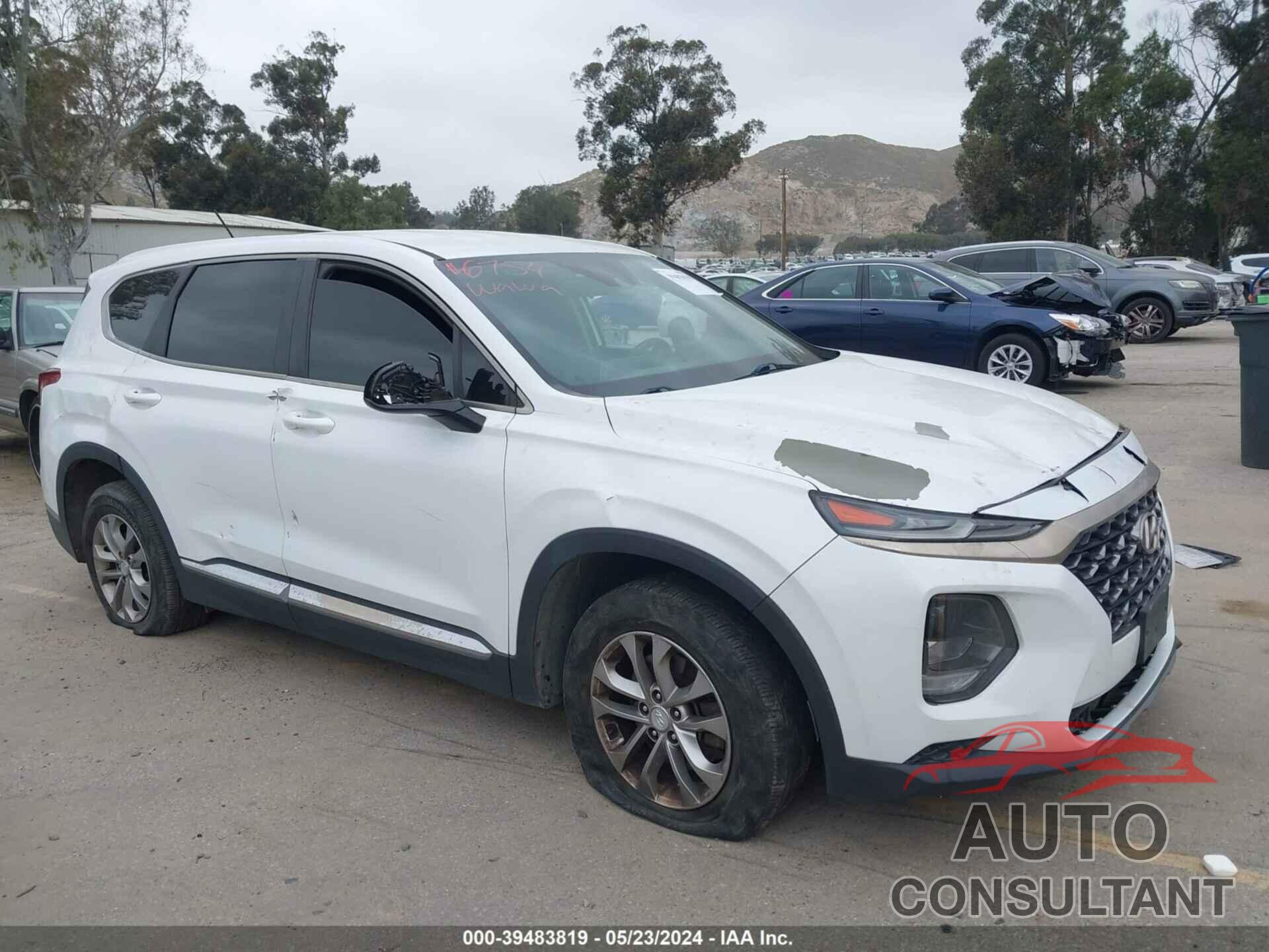 HYUNDAI SANTA FE 2019 - 5NMS2CAD4KH109134