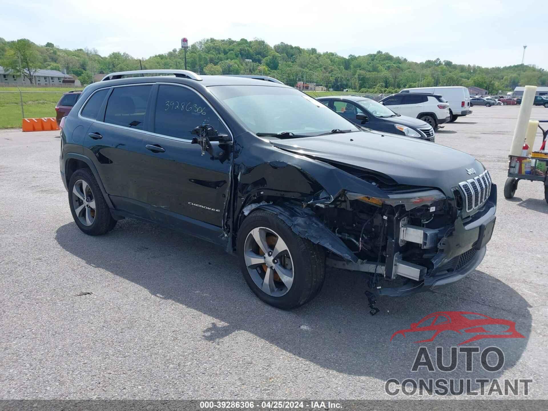 JEEP CHEROKEE 2019 - 1C4PJMDN2KD133833