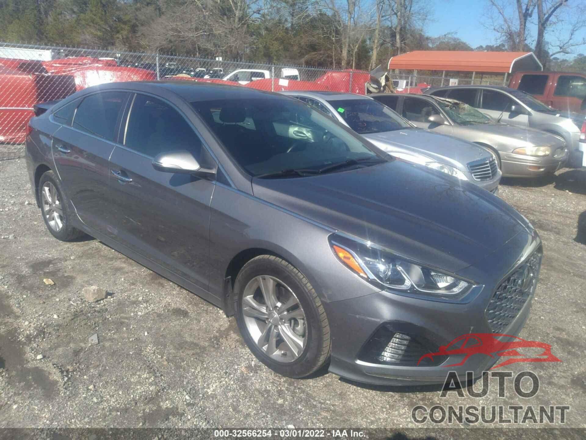 HYUNDAI SONATA 2019 - 5NPE34AFXKH796463