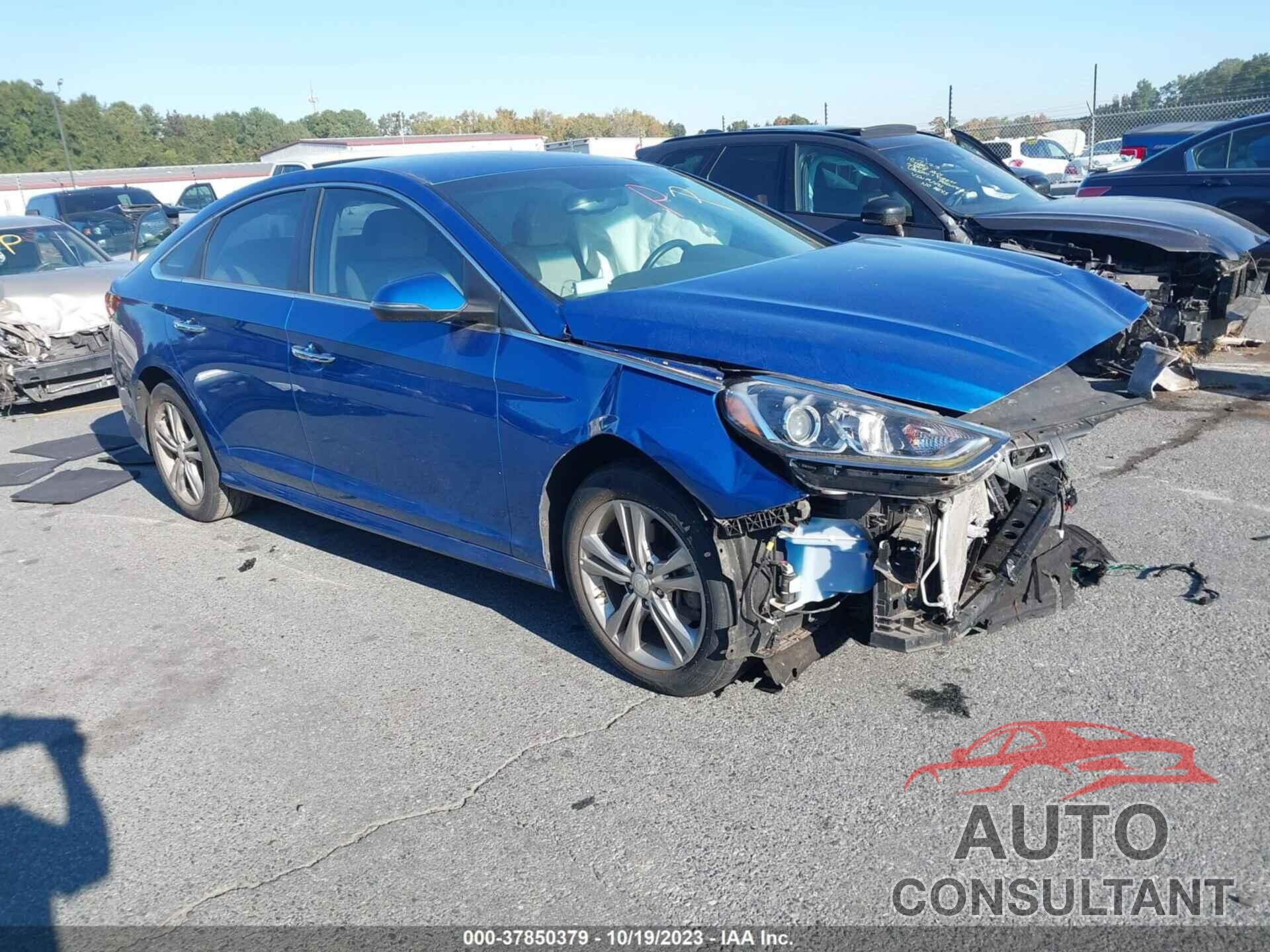 HYUNDAI SONATA 2019 - 5NPE34AF0KH736854
