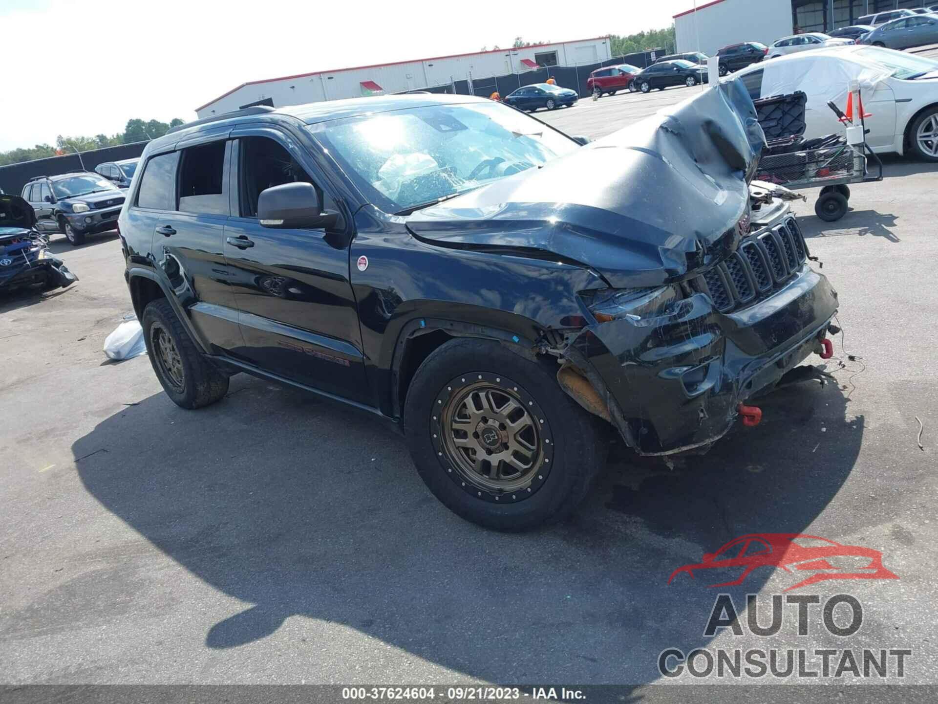 JEEP GRAND CHEROKEE 2019 - 1C4RJFLG2KC596049