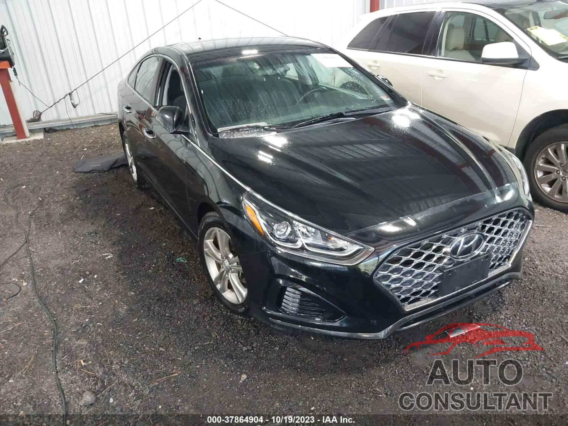 HYUNDAI SONATA 2019 - 5NPE34AF3KH809778