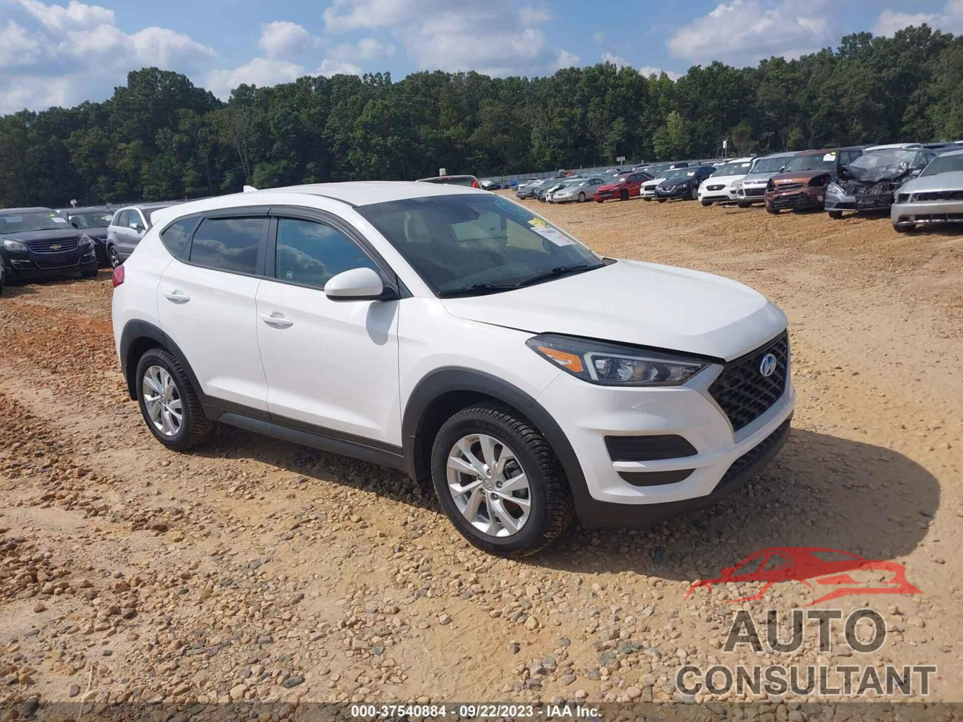 HYUNDAI TUCSON 2019 - KM8J2CA48KU880518