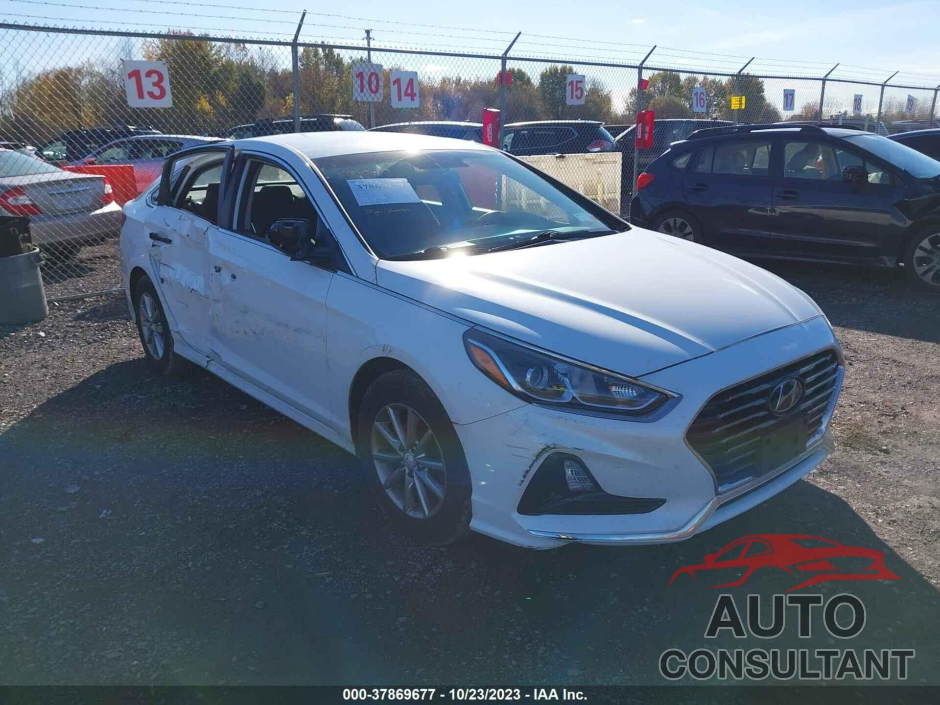 HYUNDAI SONATA 2019 - 5NPE24AF9KH774831