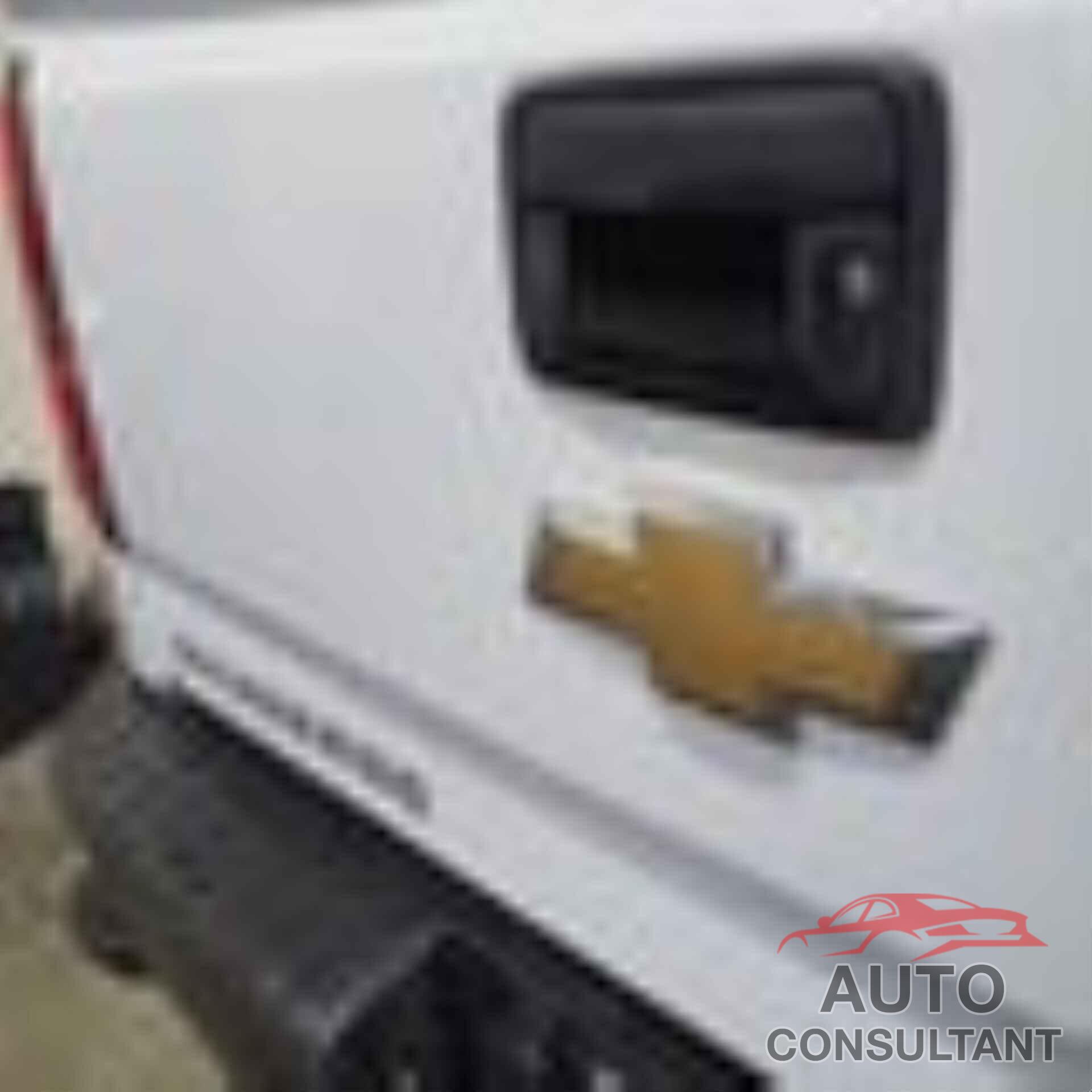 CHEVROLET SILVERADO 1500 LD 2019 - 2GCVKNEC1K1135205