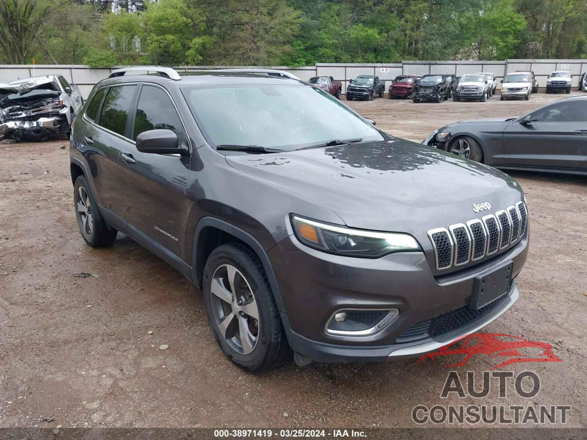 JEEP CHEROKEE 2019 - 1C4PJMDX1KD334477