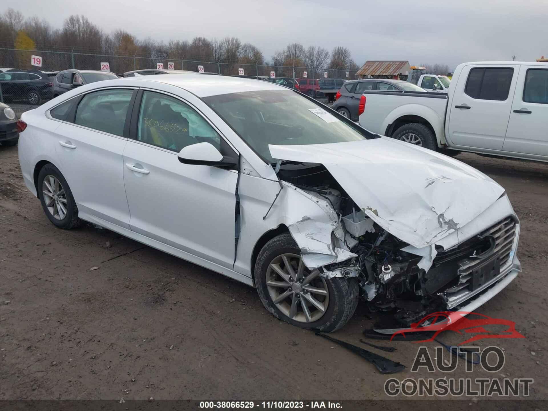 HYUNDAI SONATA 2019 - 5NPE24AF0KH772708