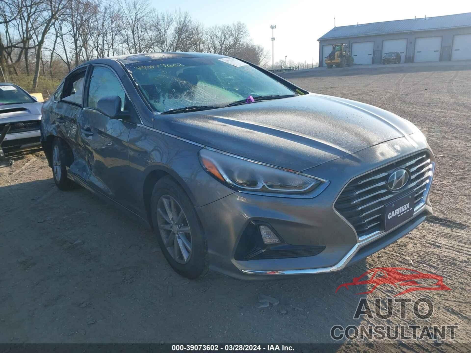 HYUNDAI SONATA 2019 - 5NPE24AF7KH783897