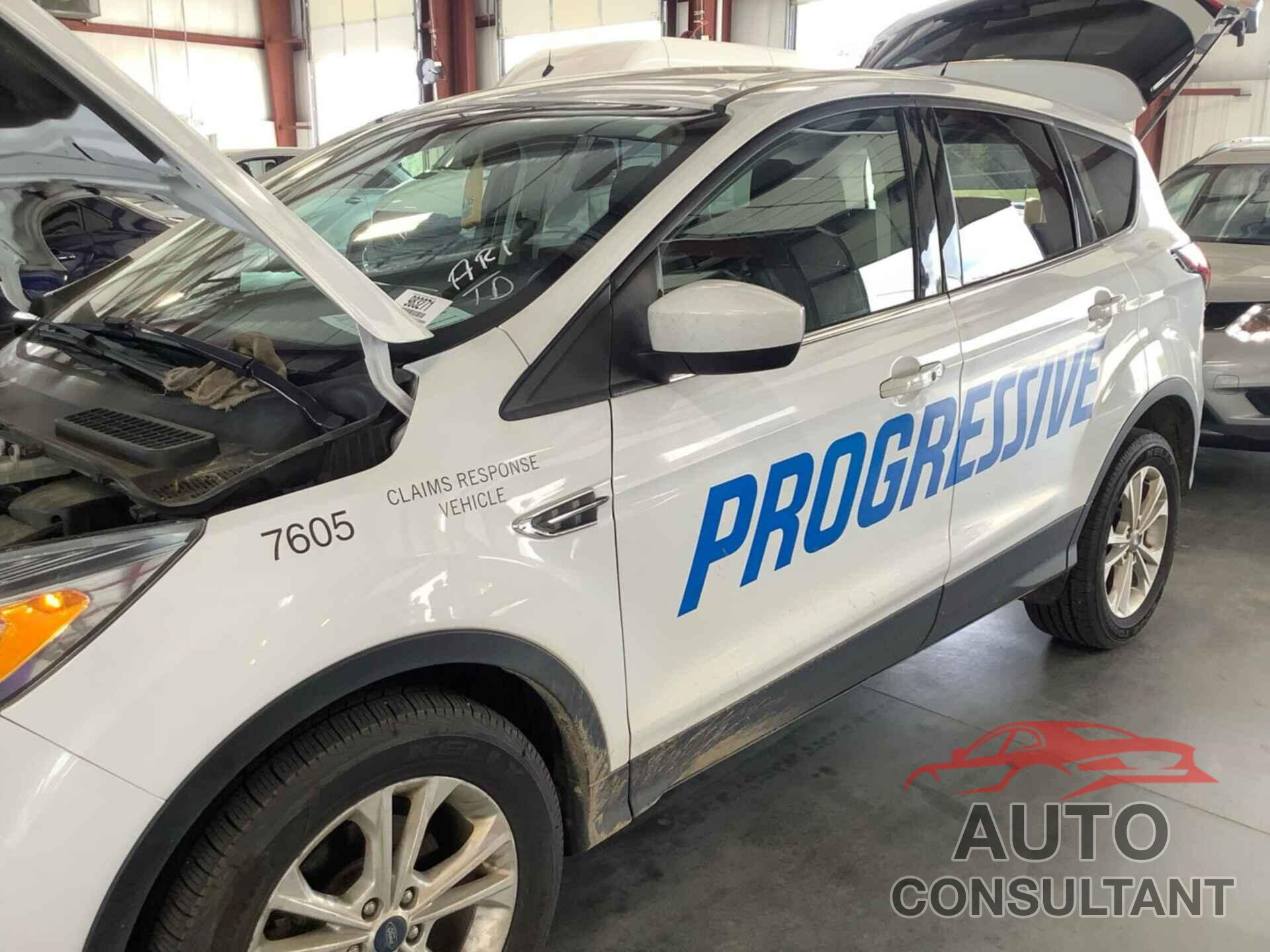 FORD ESCAPE 2019 - 1FMCU0GD2KUC07605