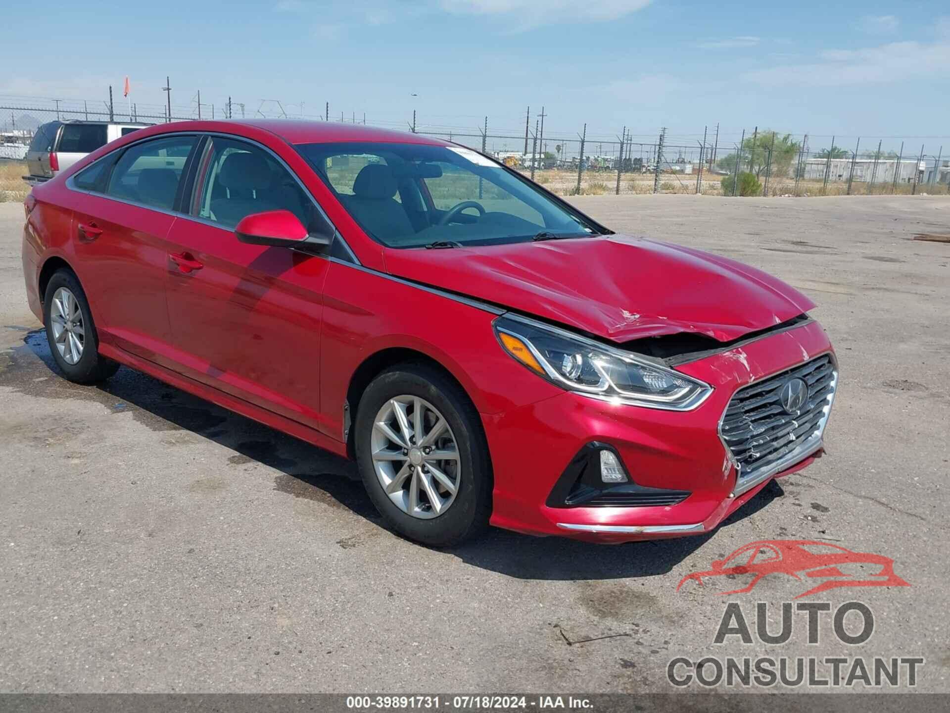 HYUNDAI SONATA 2019 - 5NPE24AF2KH749169