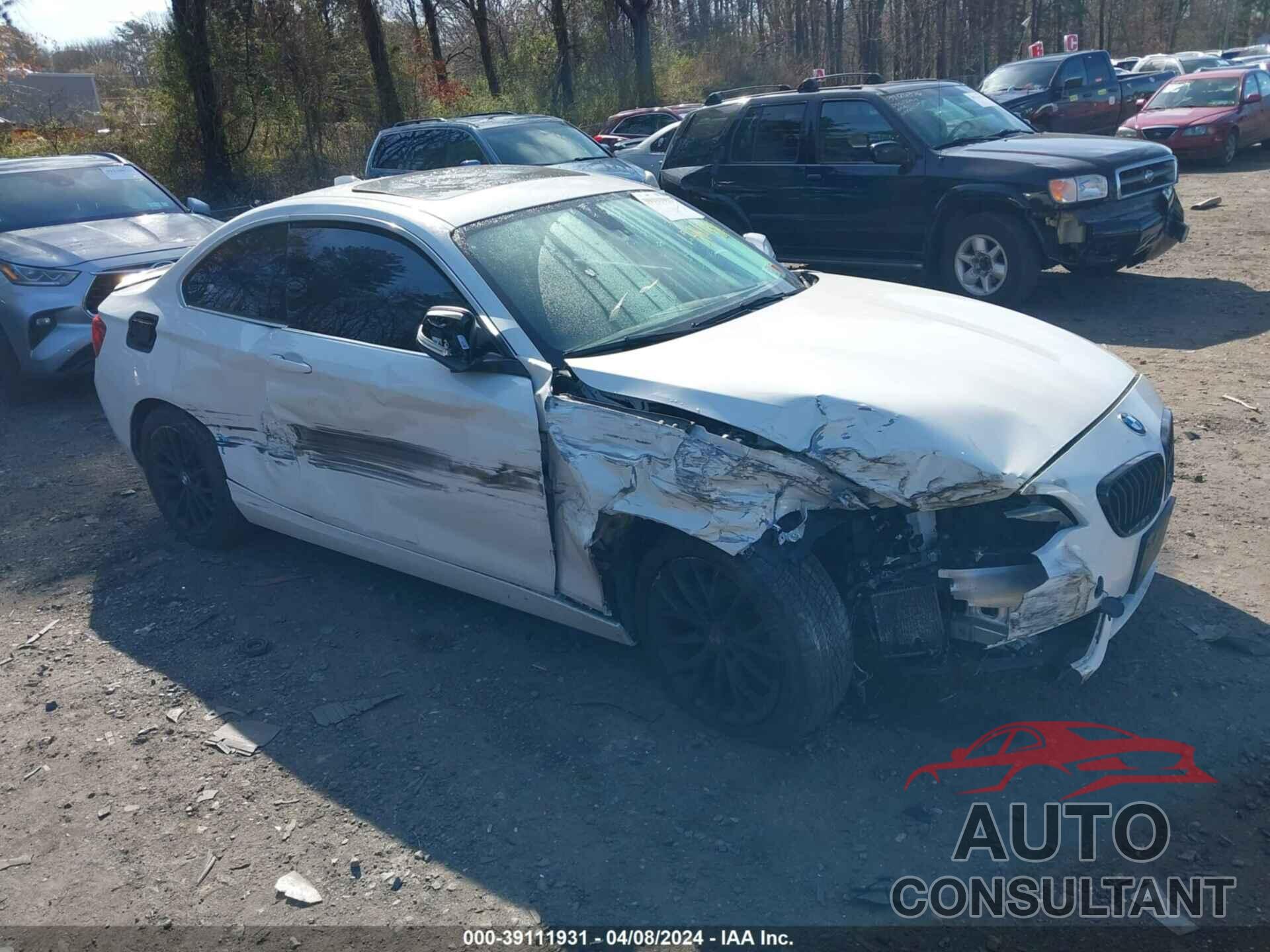 BMW 228 2016 - WBA1G9C53GV598915