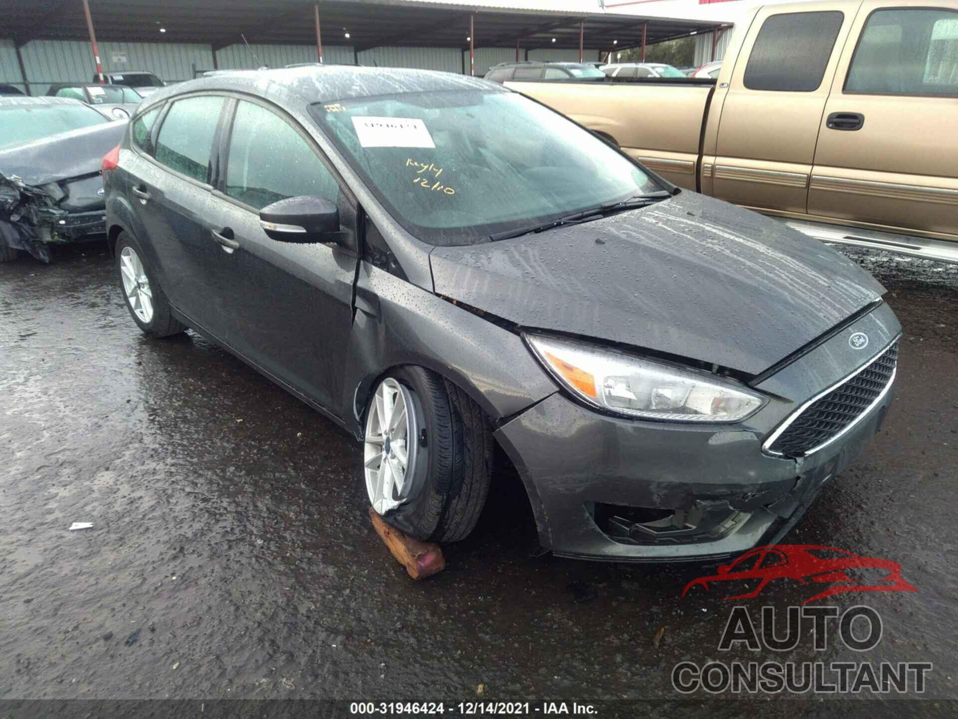 FORD FOCUS 2016 - 1FADP3K22GL384181