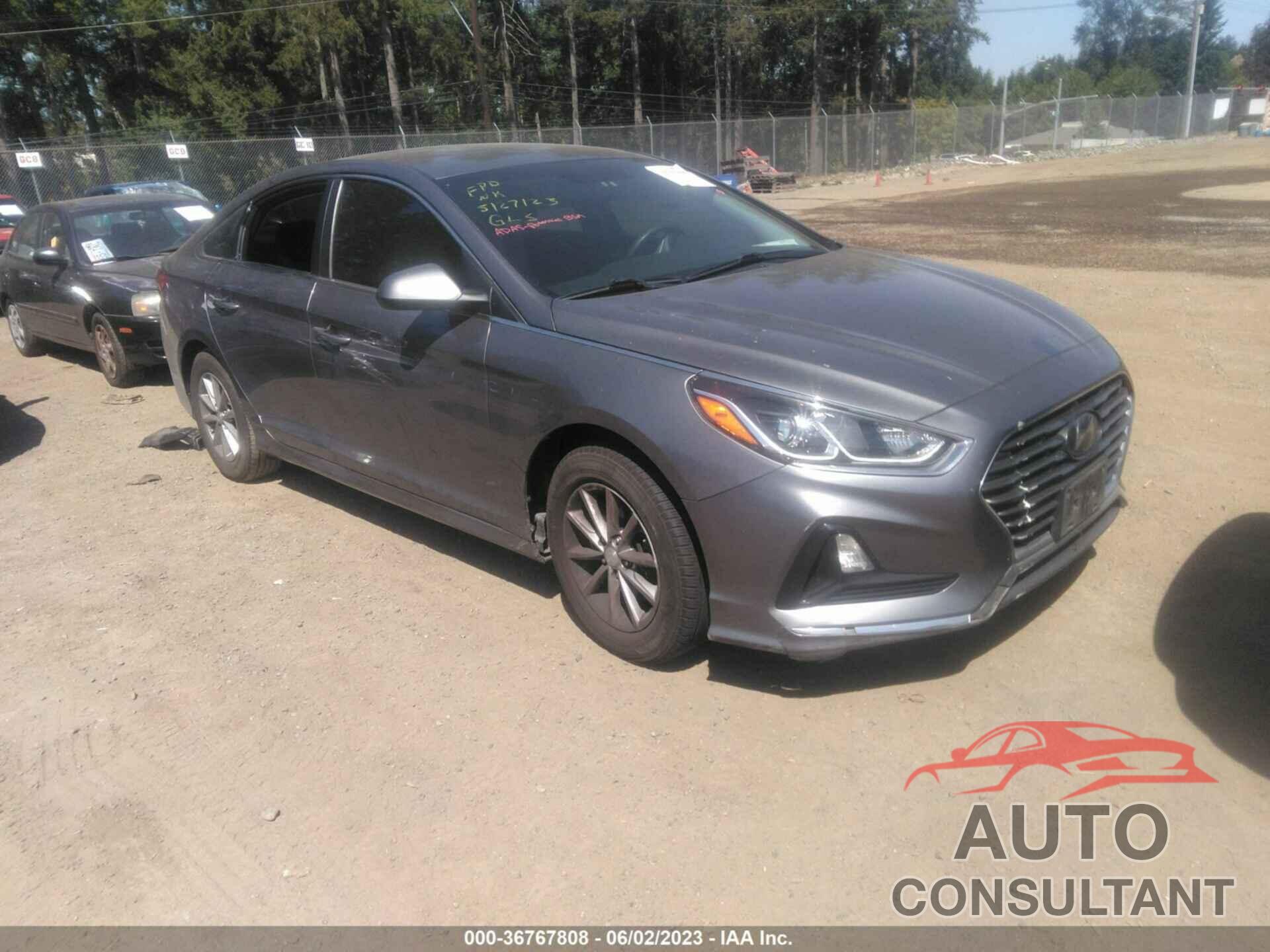 HYUNDAI SONATA 2019 - 5NPE24AF1KH751222