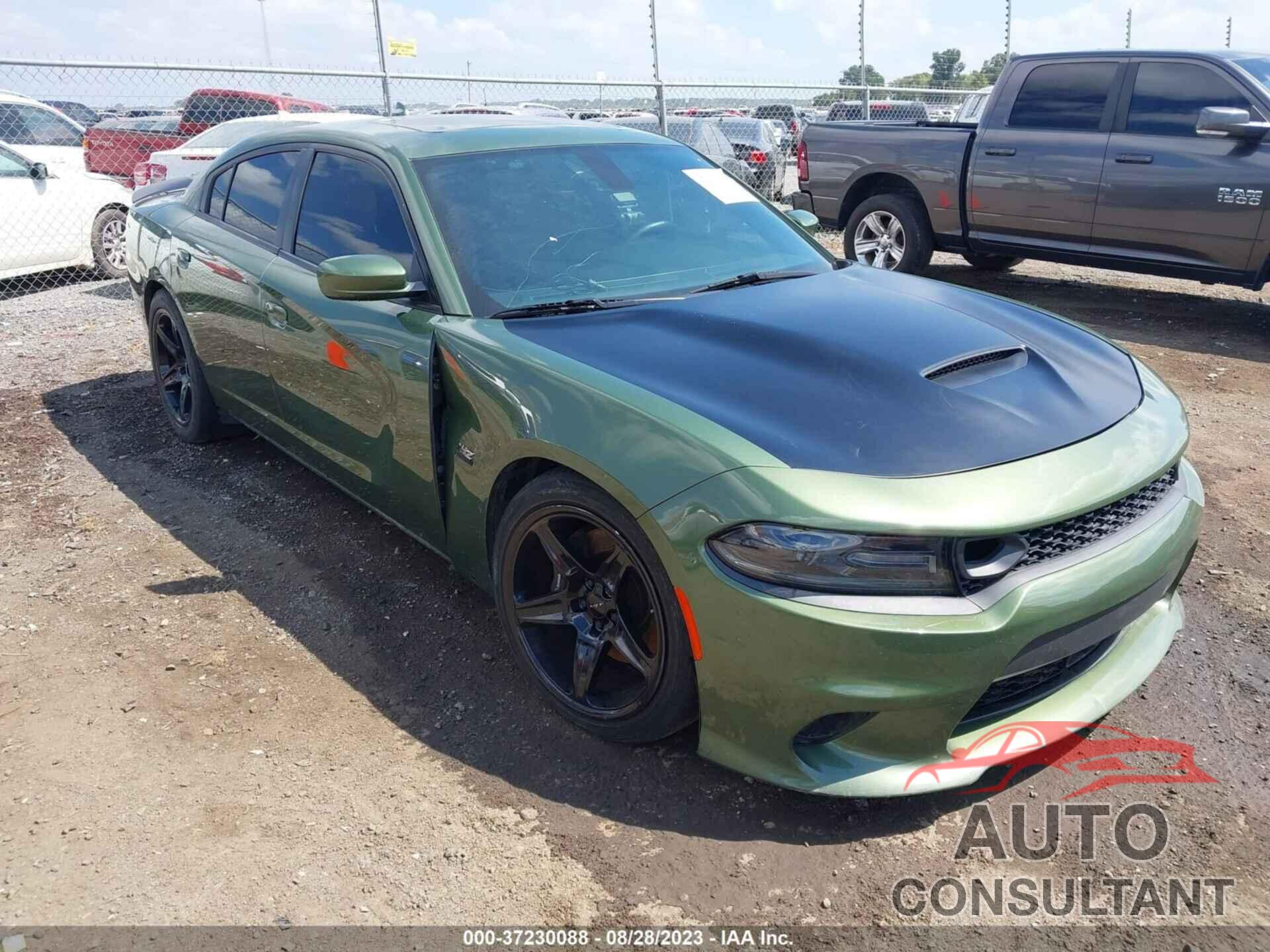 DODGE CHARGER 2019 - 2C3CDXGJ6KH519677