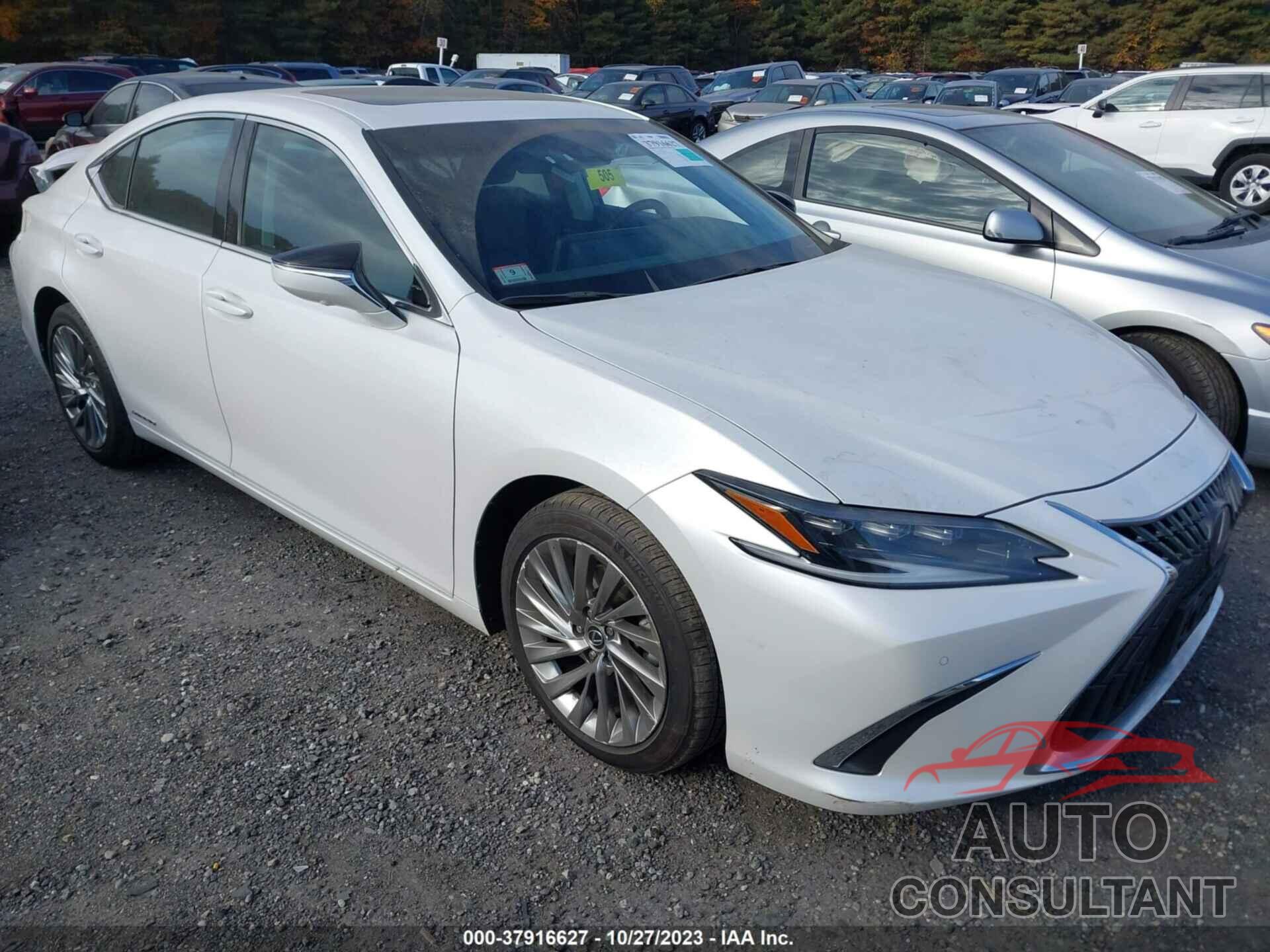 LEXUS ES 2022 - 58AEA1C16NU023428